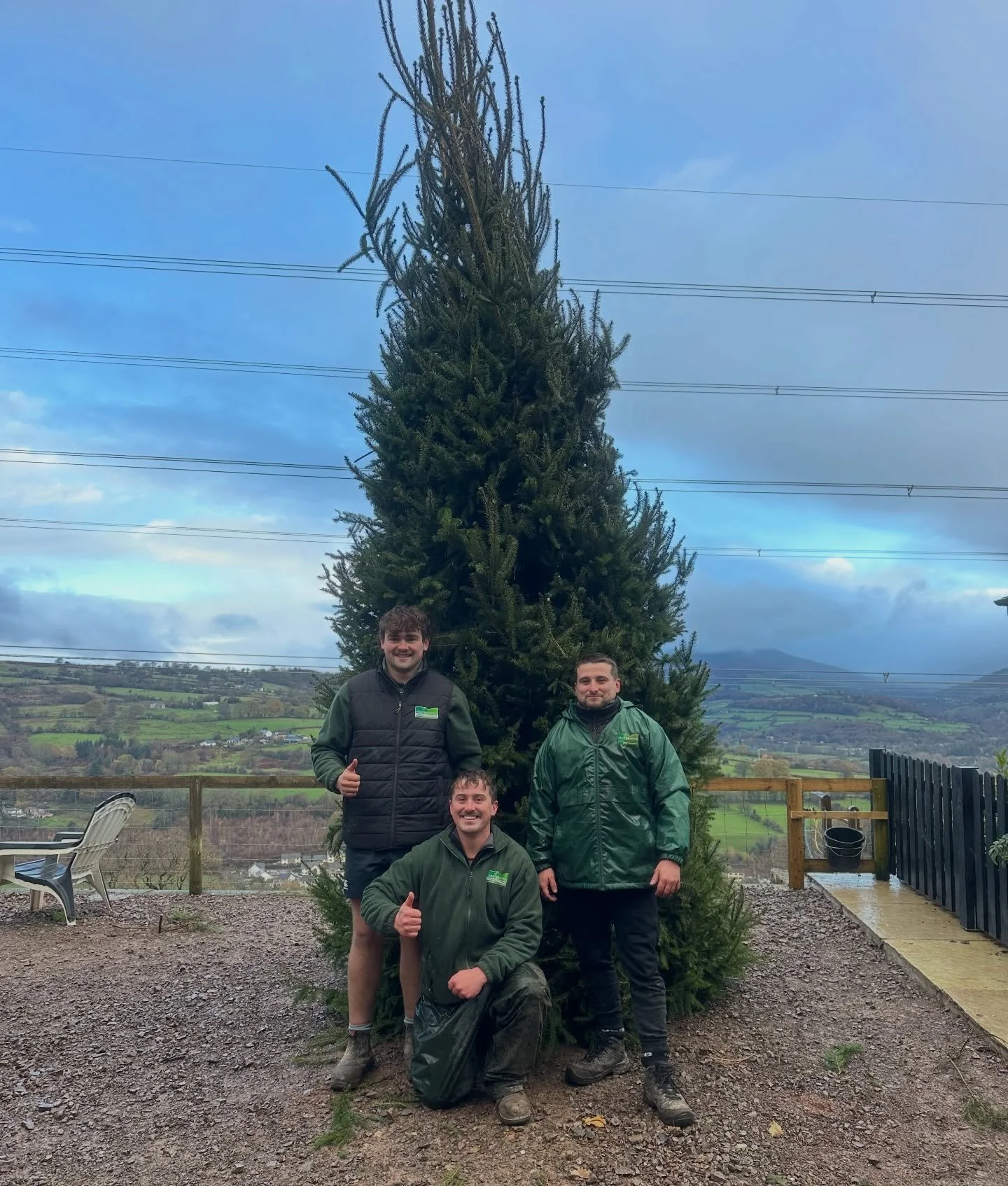 Early start for the boys after a late finish last night! Tree delivered ✅ and erected 🤣👍🏼