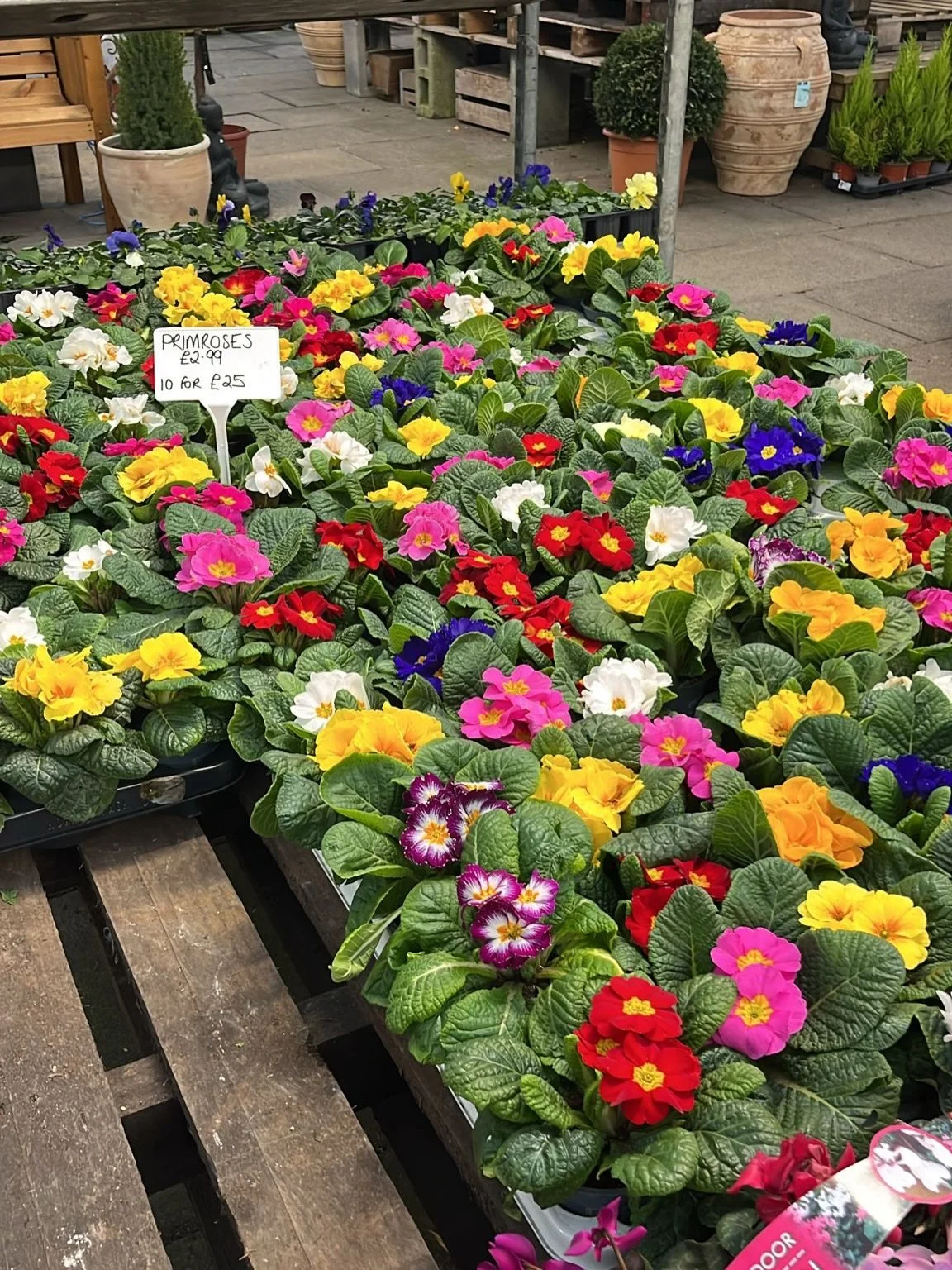 Colour can be found all over the centre&hellip;. Another big sale coming this weekend &hellip; stay posted ✅