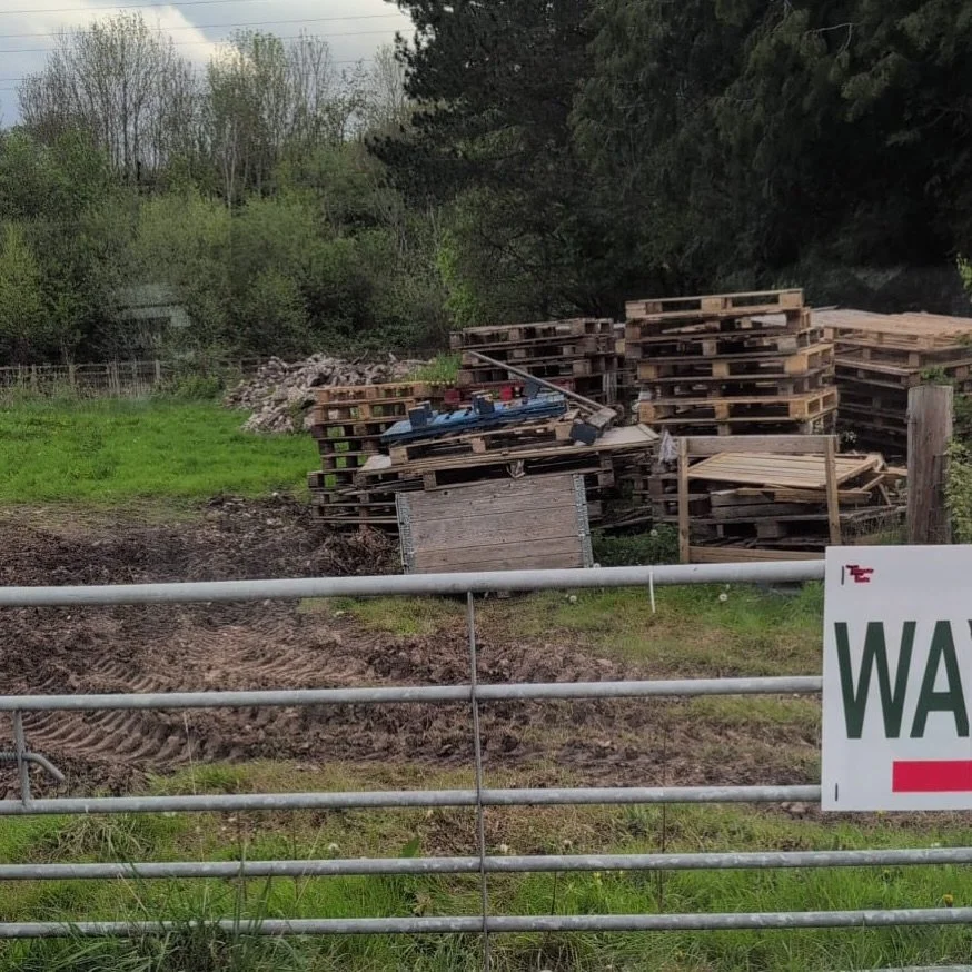 Free pallets! Collection only