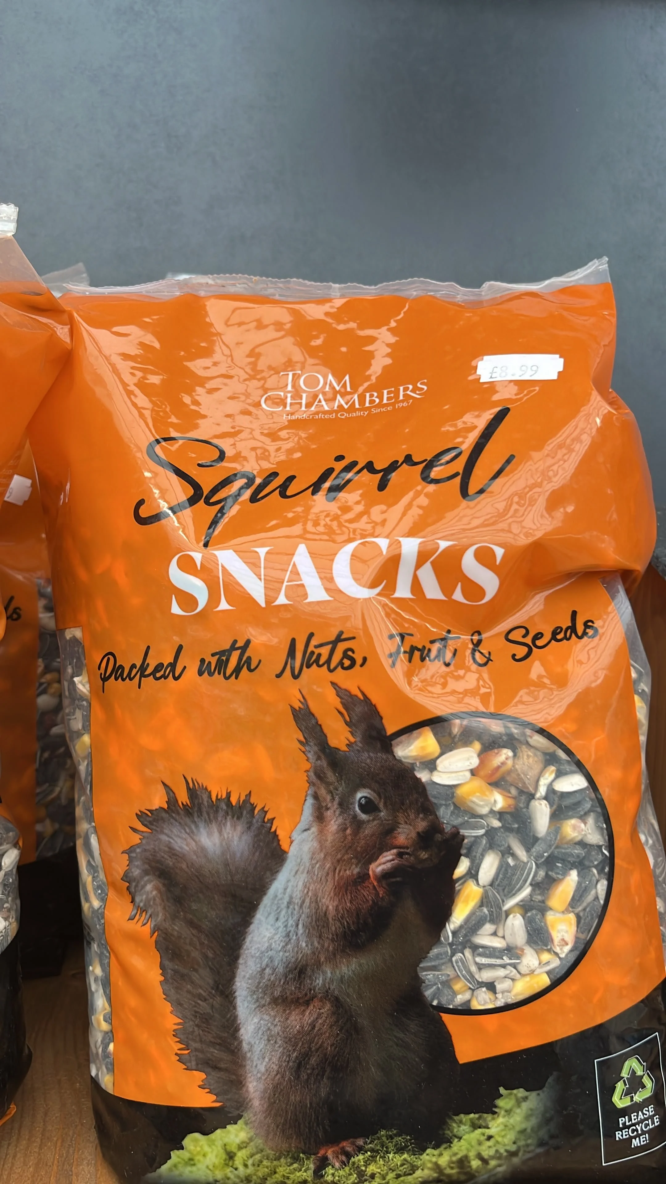 Tom Chambers Squirrel Snacks.jpeg