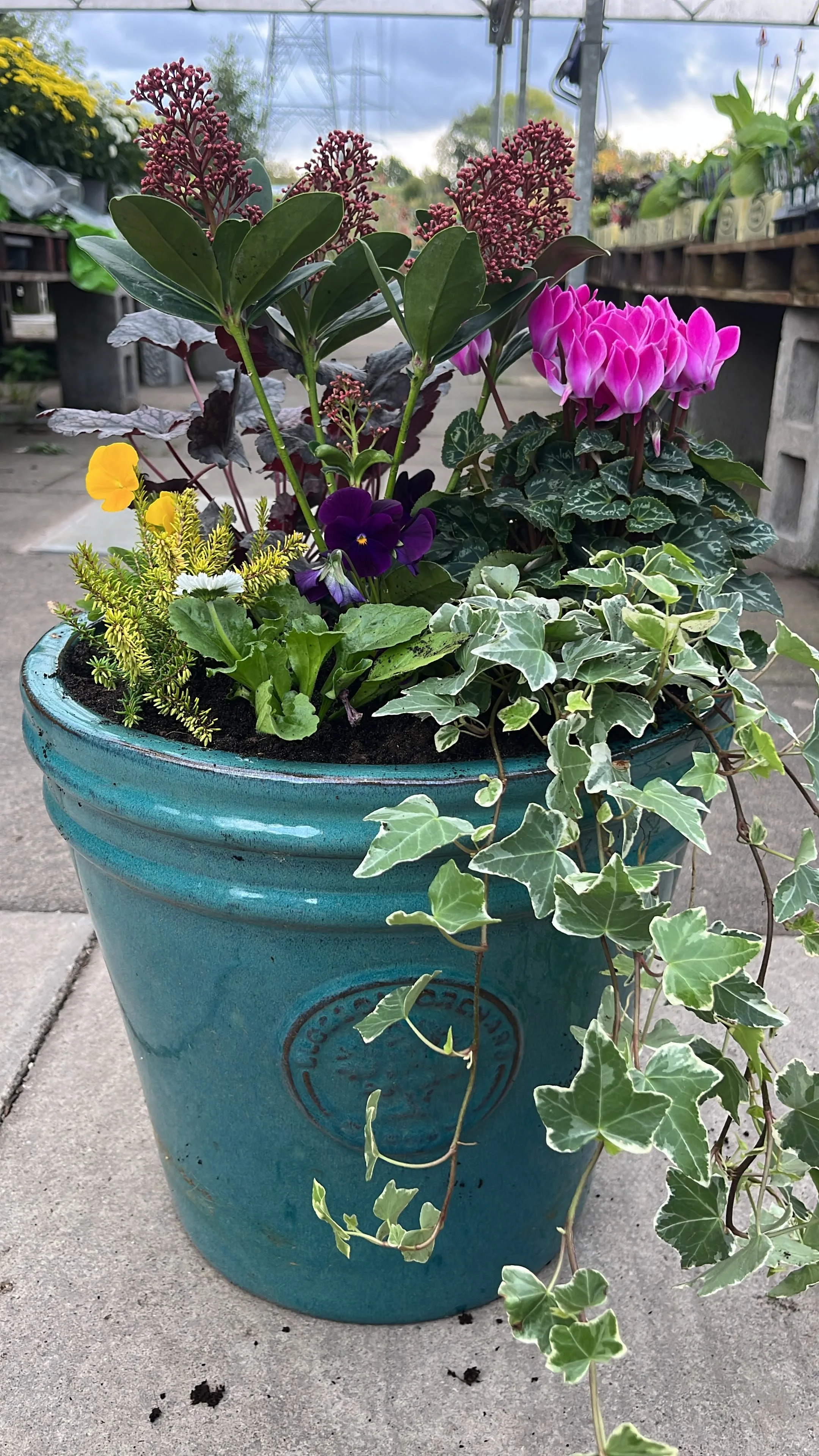 Winter Pot Underplanted With Bulbs - Large