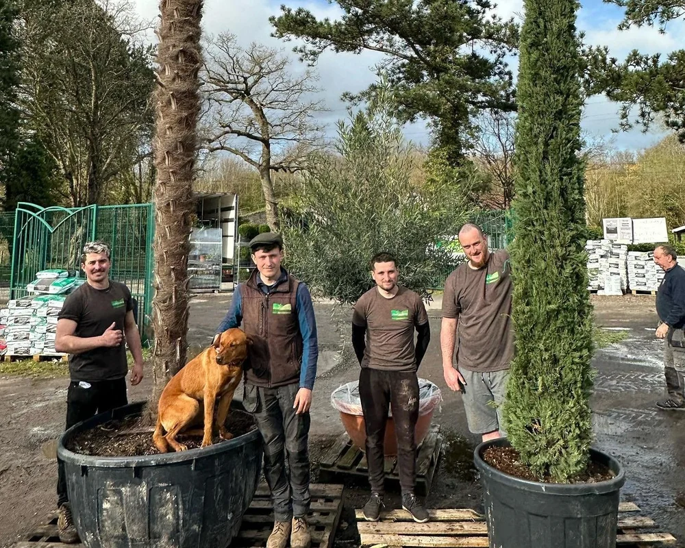 Abergavenny Garden Centre