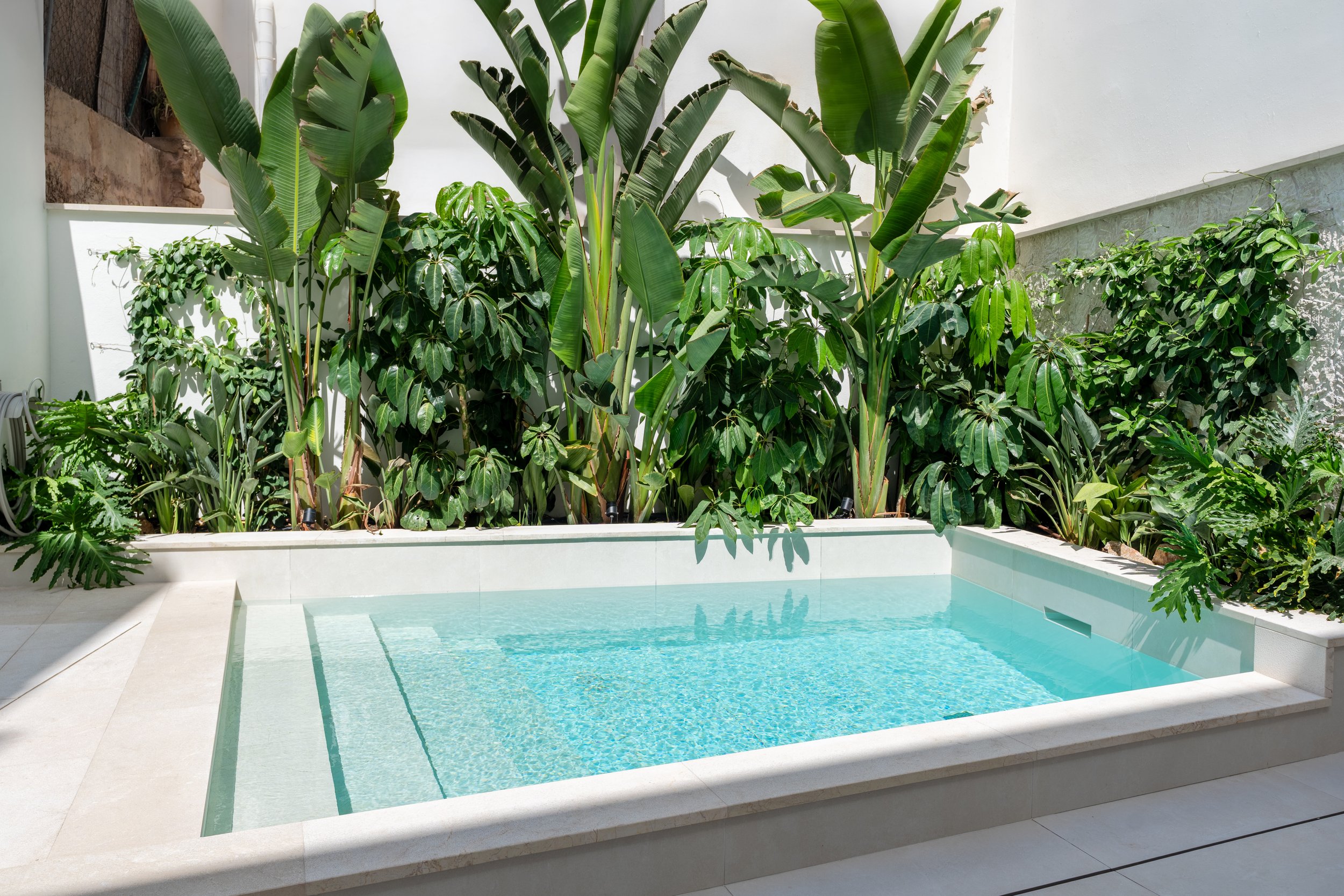 DSC05935-HDR -ENHANCED +++.jpg