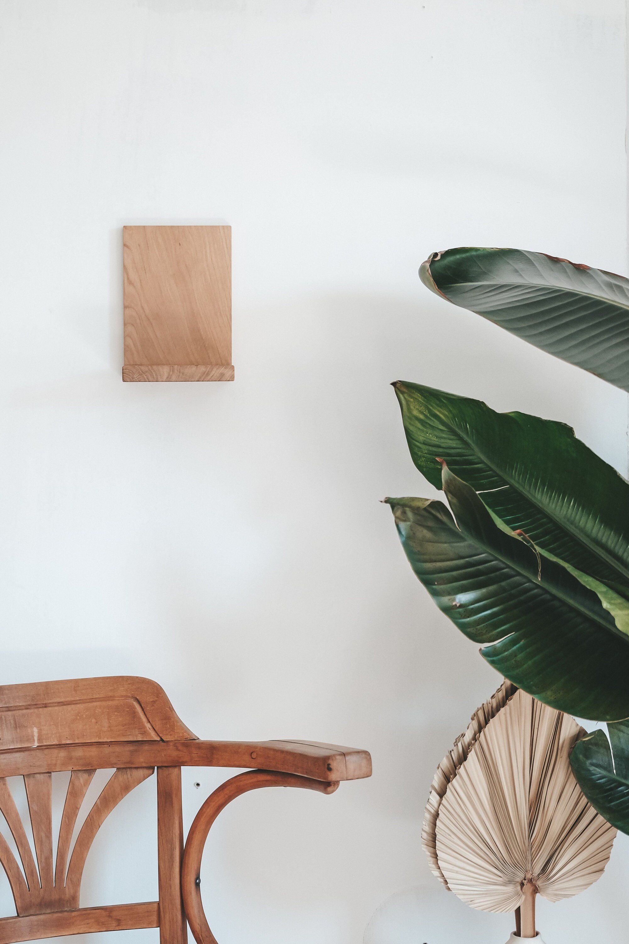https://i.etsystatic.com/26379496/r/il/47111d/3952586559/il_fullxfull.3952586559_t8mo.jpg