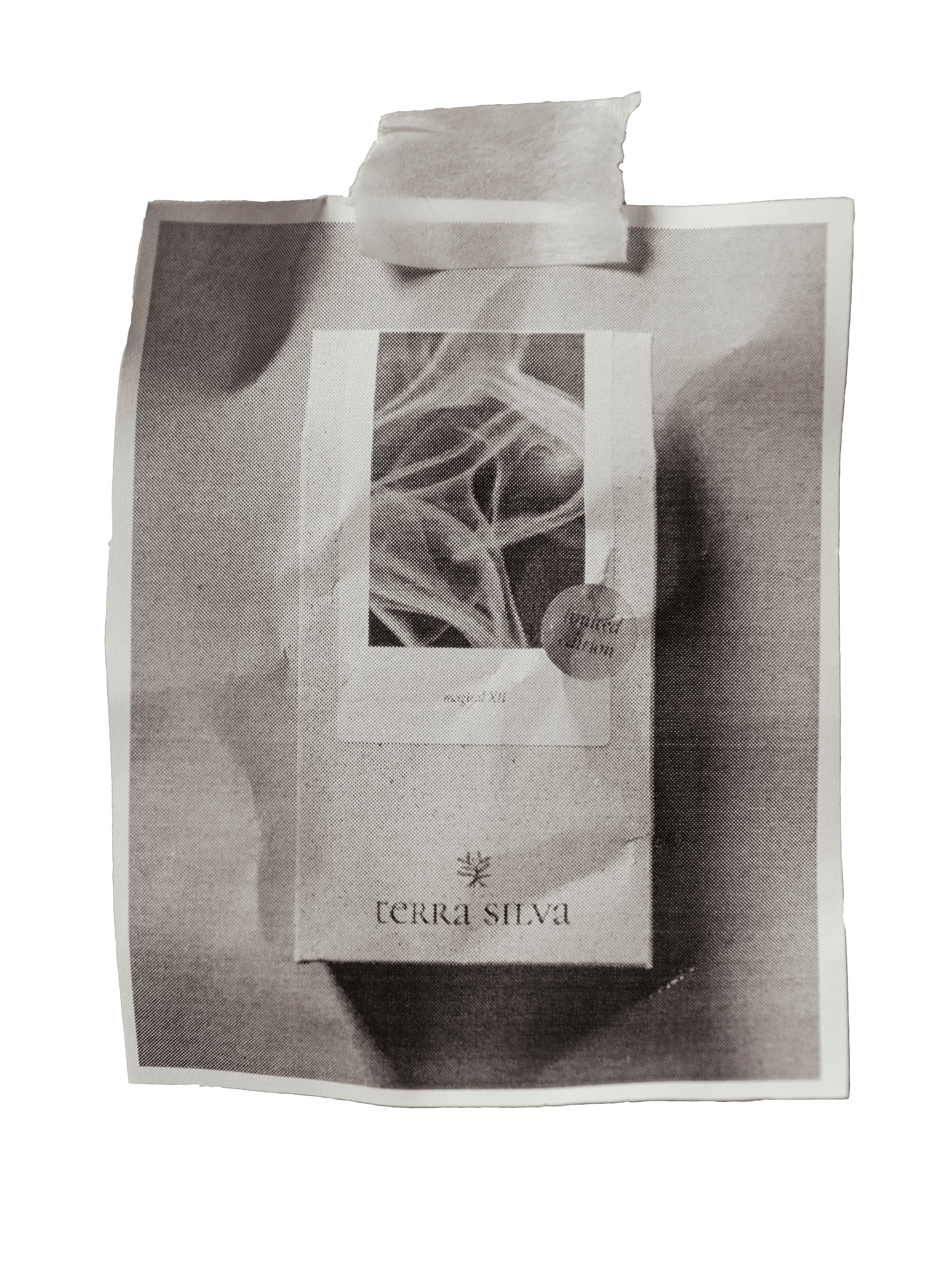 magical XII - Raunachtsmischung