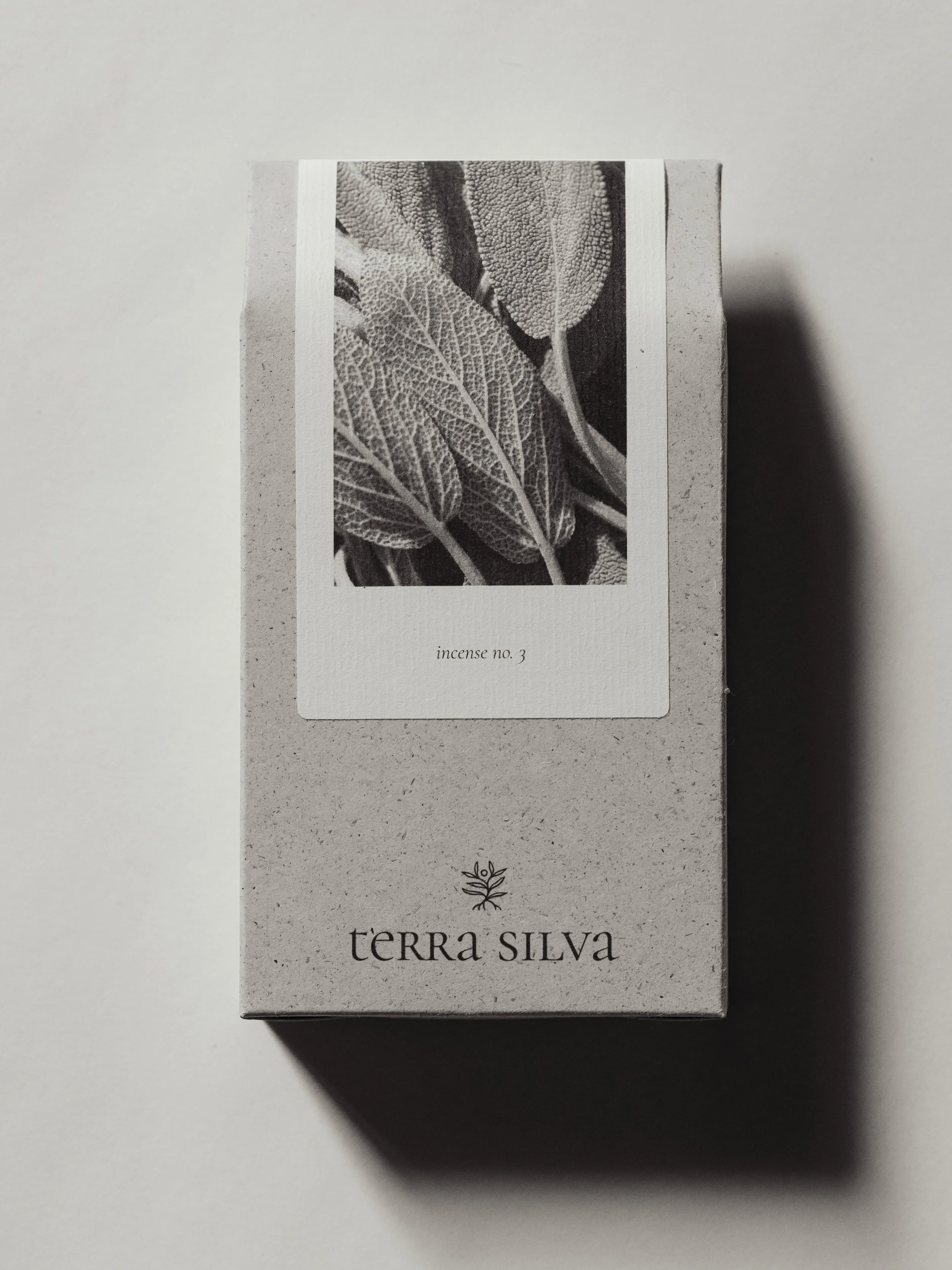 Terra Silva Druck -14.jpg