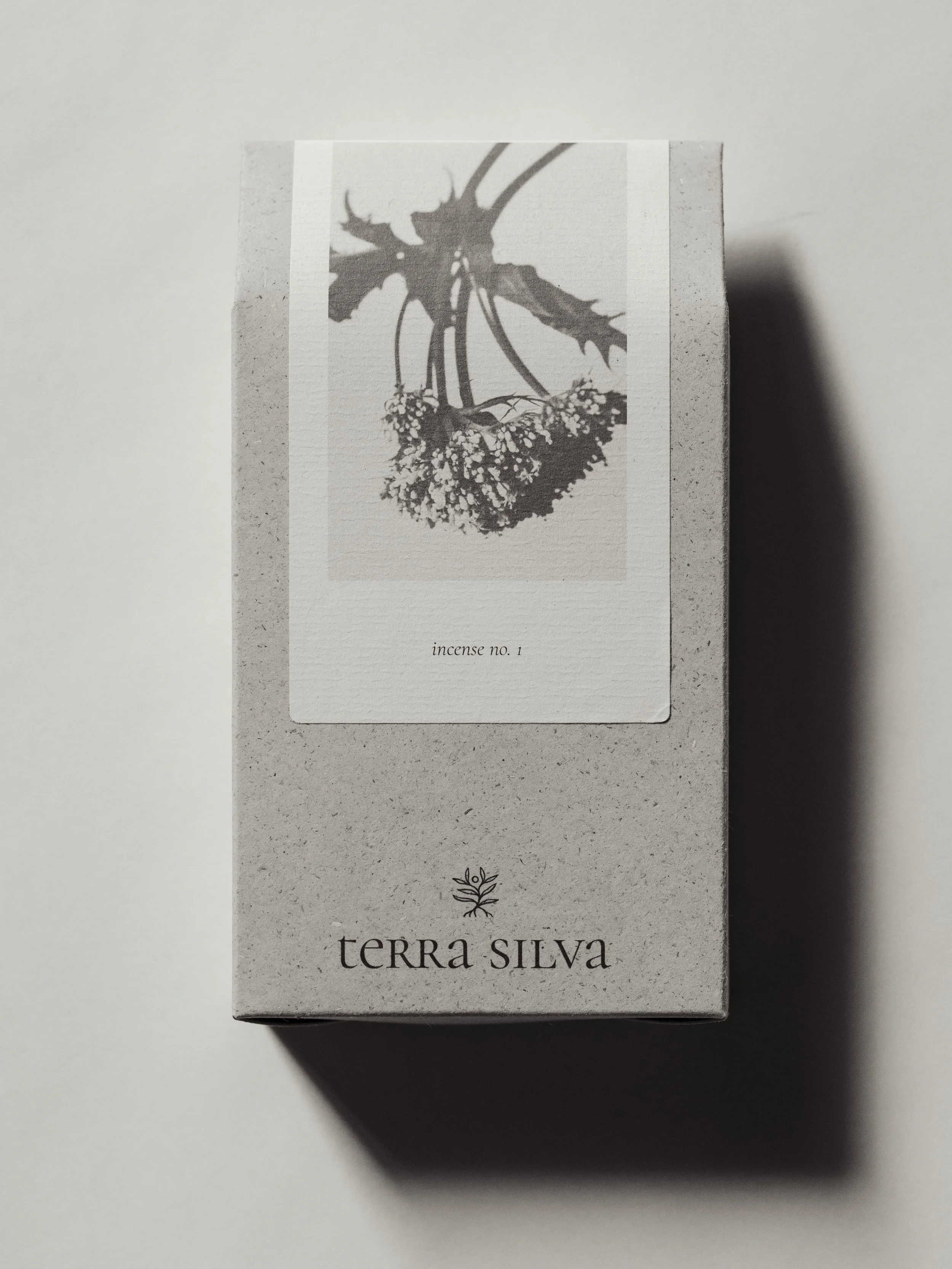 Terra Silva Druck -13.jpg