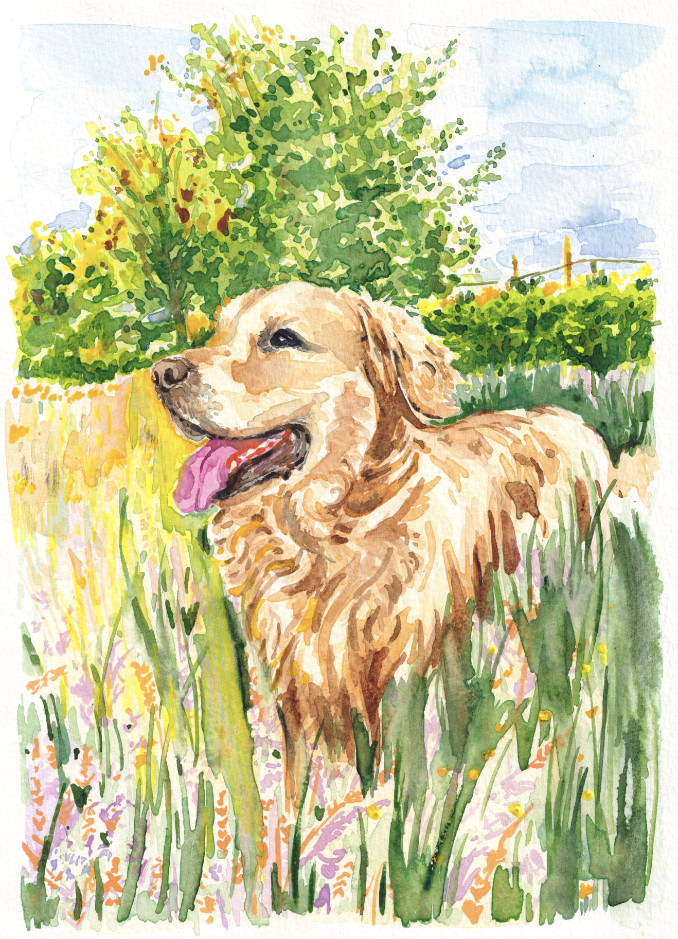 Screenshot 2026-02-13 at 15.55.24.png