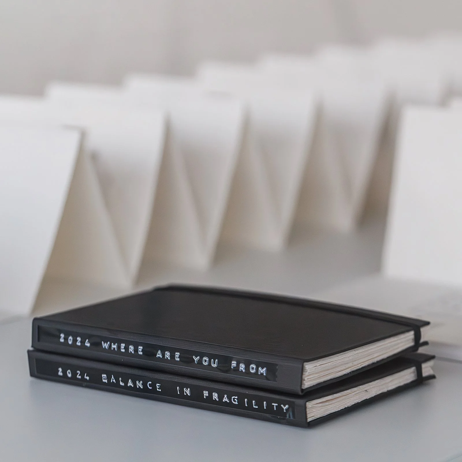 The drawings and leporellos feature inkwork on paper with cutouts and gildings where the artist wanted to create a window that takes the viewer inside/outside the surface of the paper. 
 
They capture the artist's evolving thoughts and feelings. 
 
F