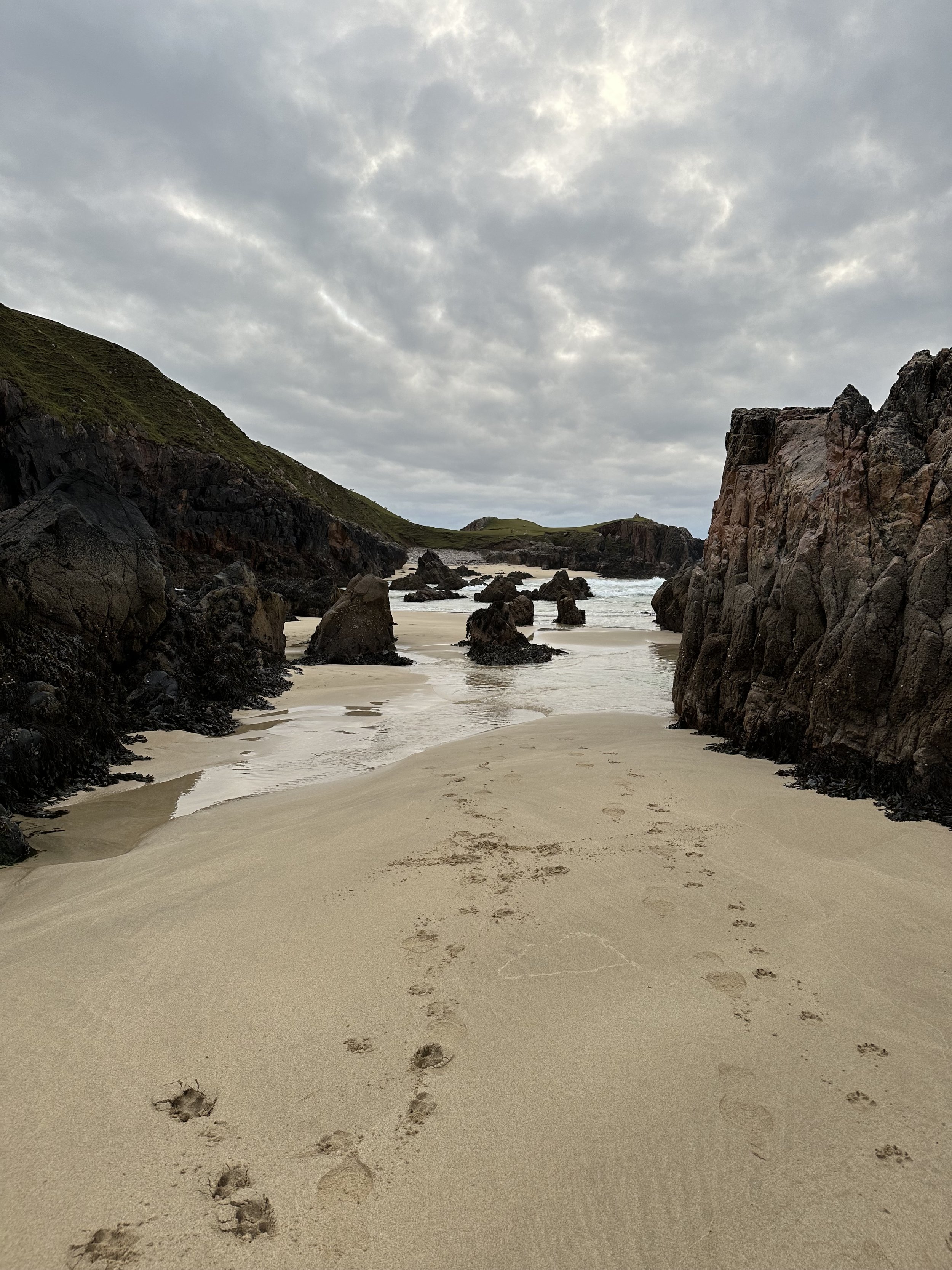 "Shaking with the cold, on all fours, Miles clambers up a rock stack as the waves batter him.
He looks as the last remnants of his raft float away."
(p48)