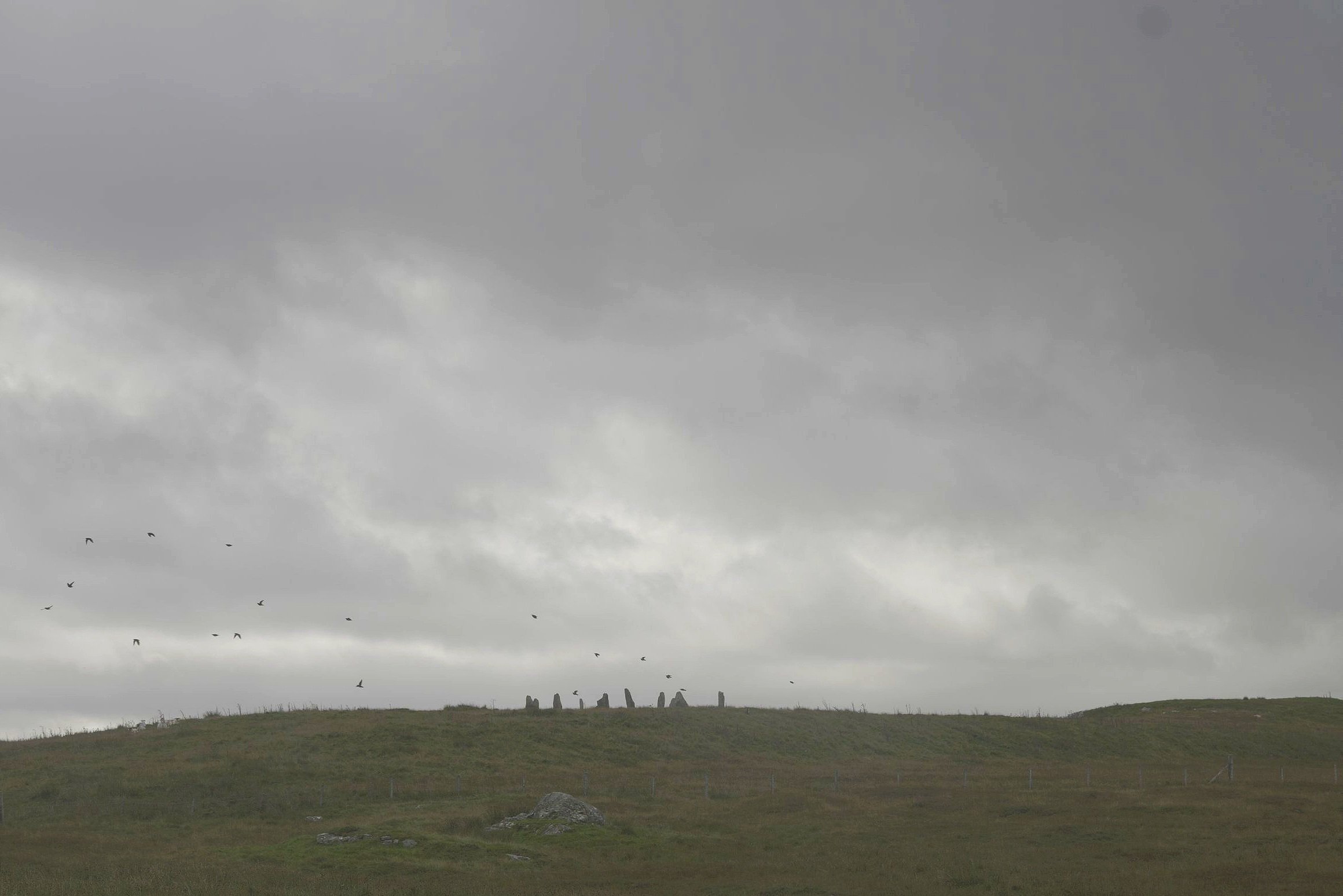 "Birds fly screeching up into the air across the dark island."
(p33)