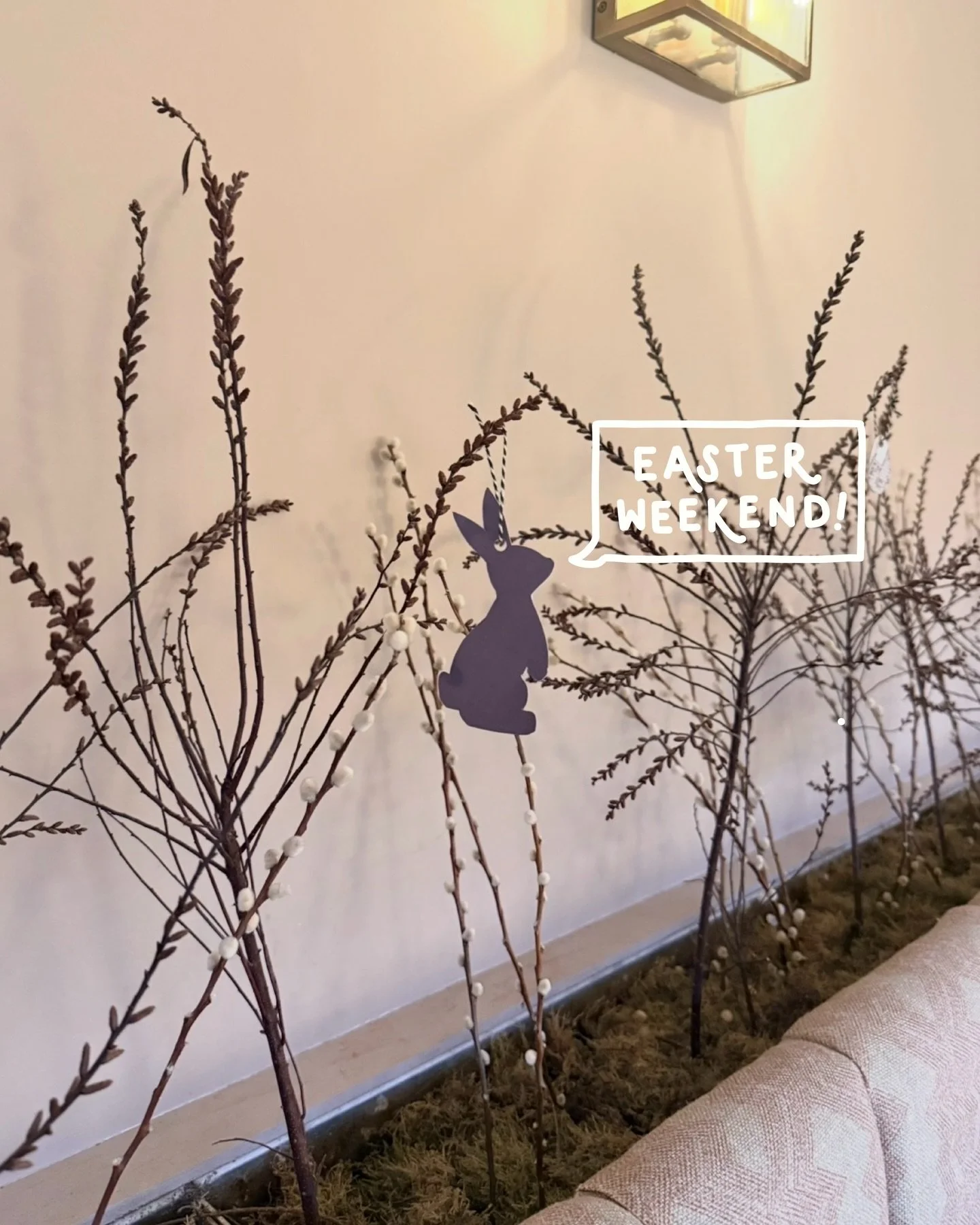 Did some bunny say Easter Weekend? 👀

Not too late to get booked in either 🐰