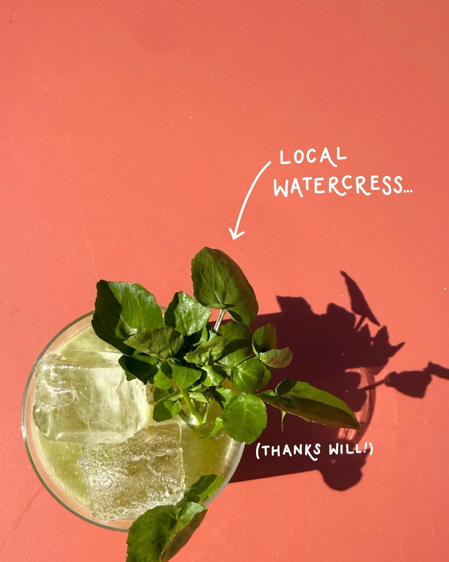 This sunshine has got us thinking about a cheeky marg 👀

One of *those* watercress ones, a strawberry one, a spicy one, a classic one or&hellip;.

Any other flavour suggestions? 🍸