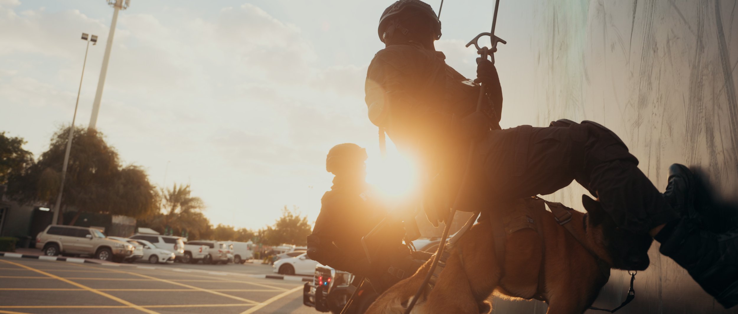 Sequence 02.00_01_15_11.Still003.jpg