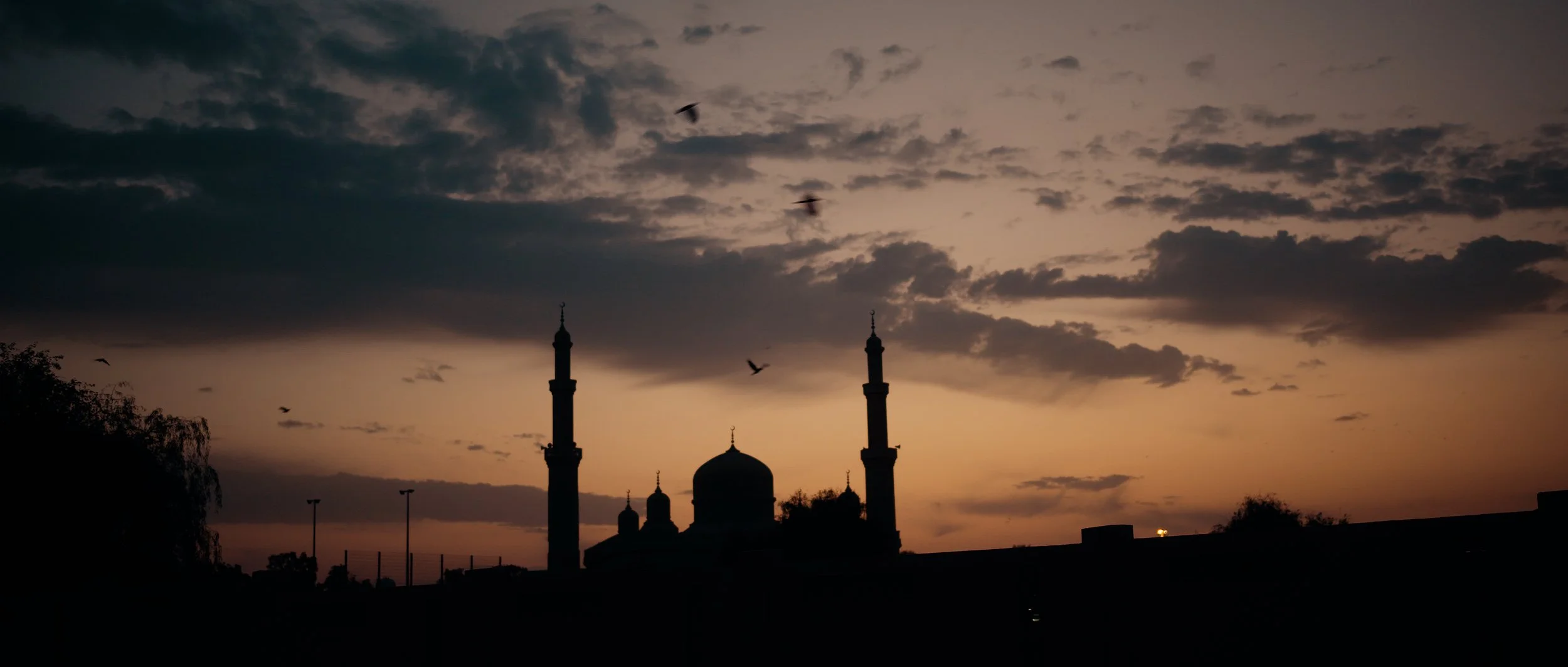 Final_ENG 30s_Scope.00_00_00_13.Still150.jpg