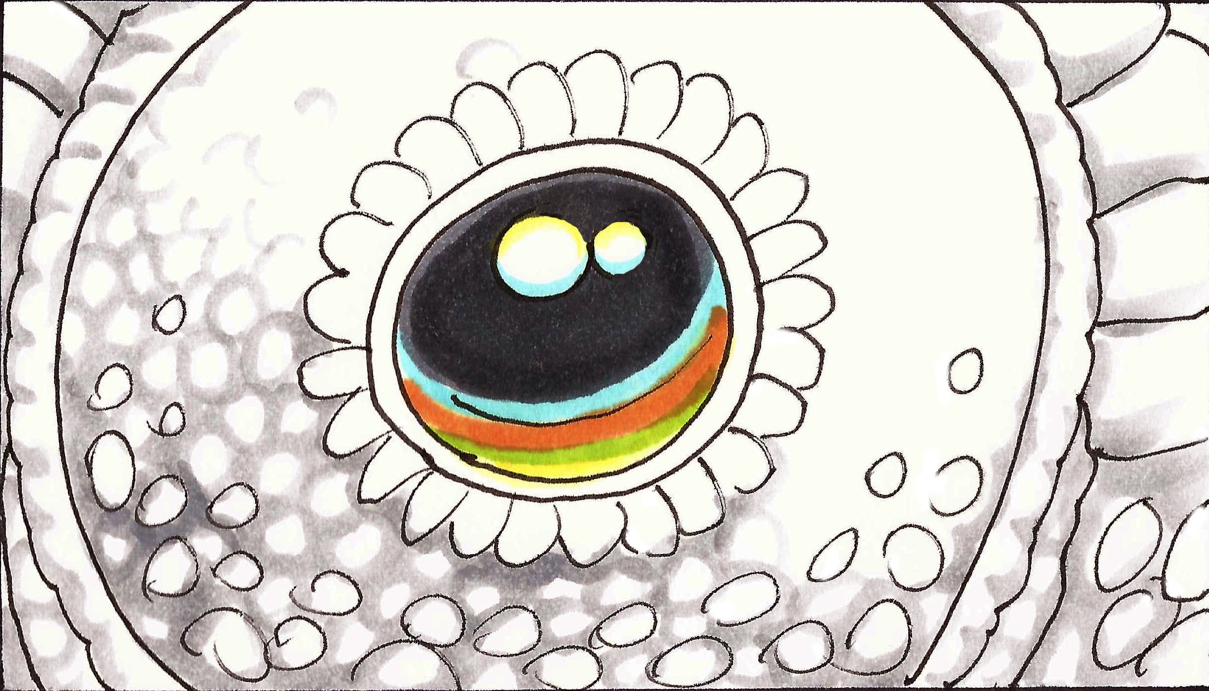 Hue Story_12.jpg