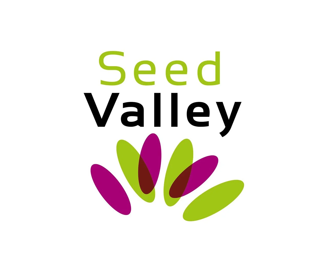 seed valley.jpg