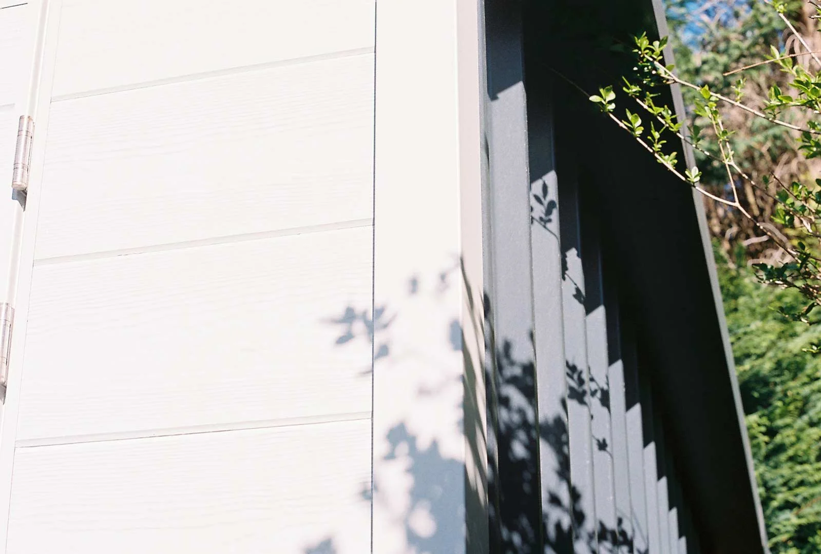 Exterior detail of a white-clad bespoke garden room with soft shadows from surrounding plants