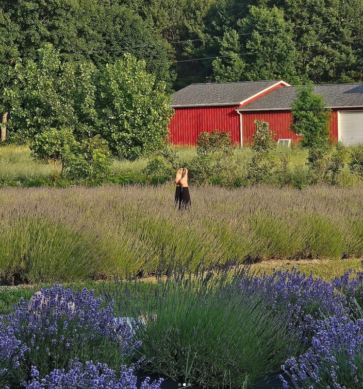 New Moon at Shades of Lavender Farm with Kalamazoo Backyard Yogis