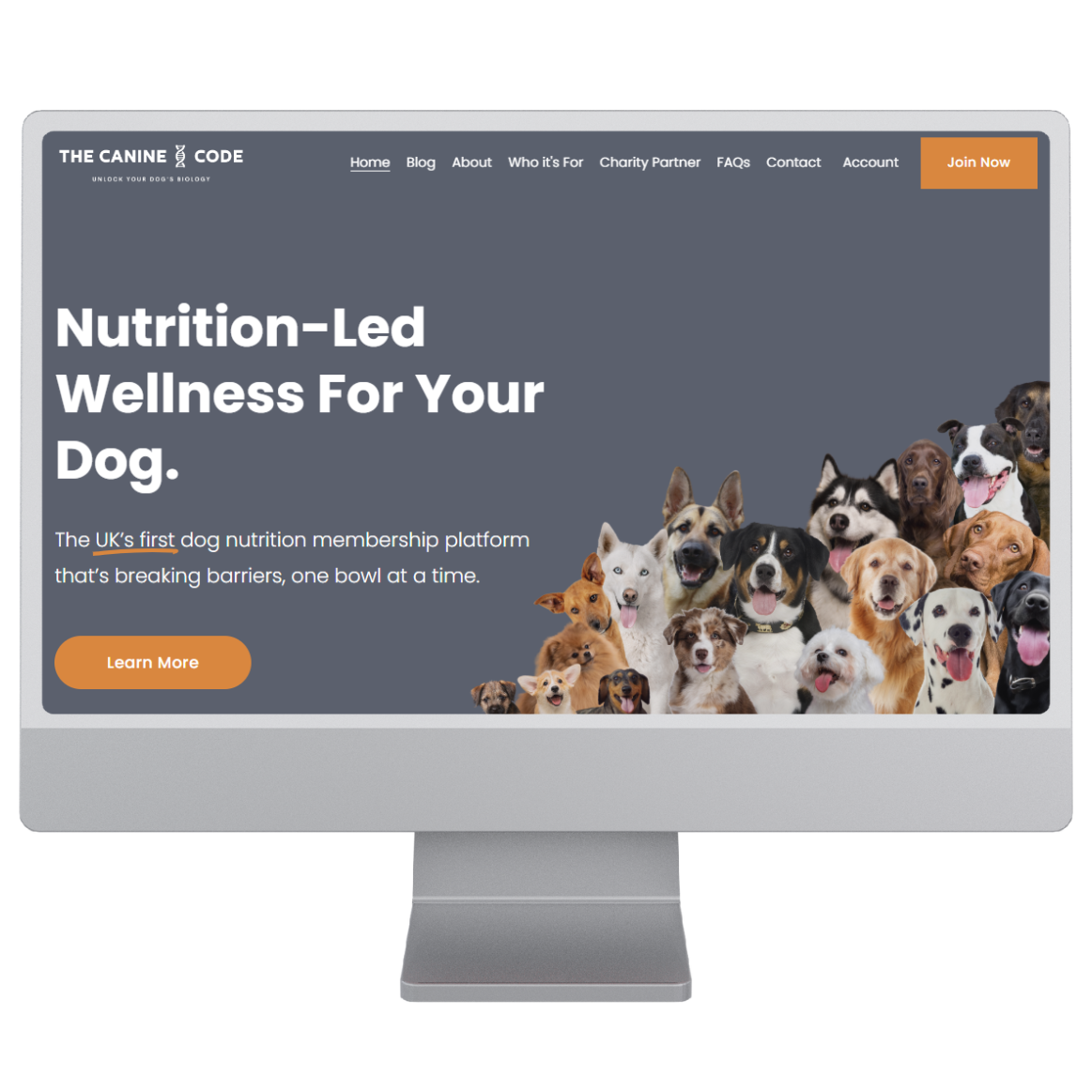 A desktop computer with a preview of the canine code's website homepage. A grey and orange style with an image of lots of dogs with their tongues out