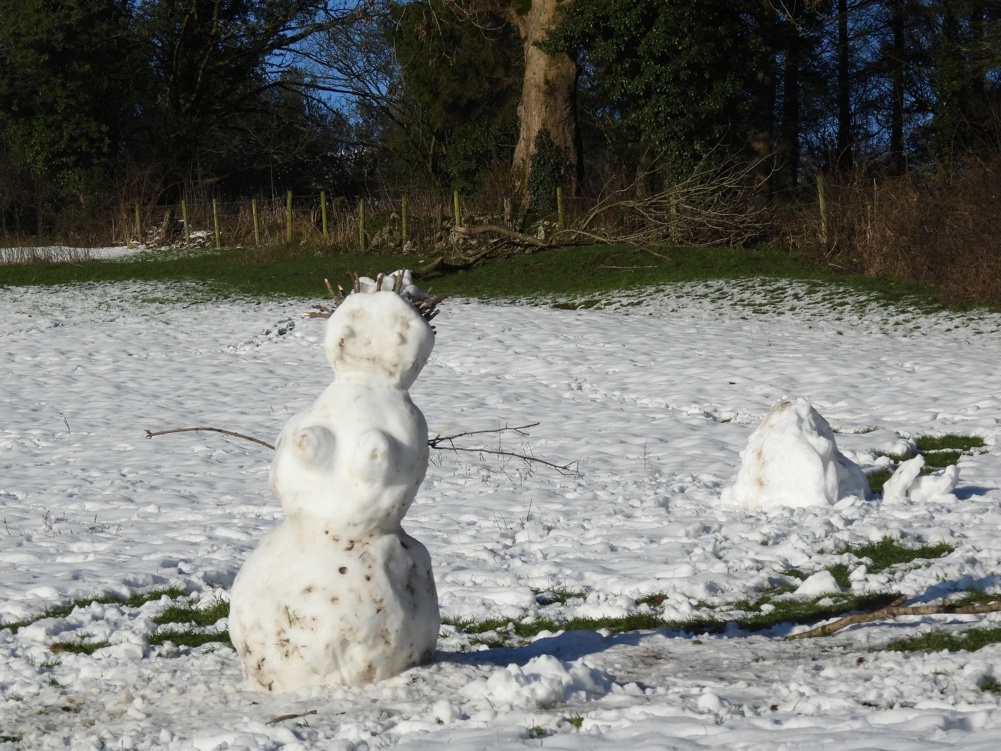 snowman WMF jan2025.jpg