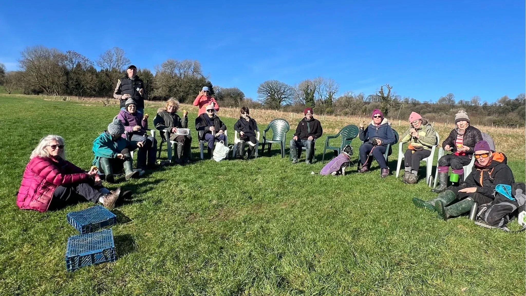 Mulching and re-plug planting