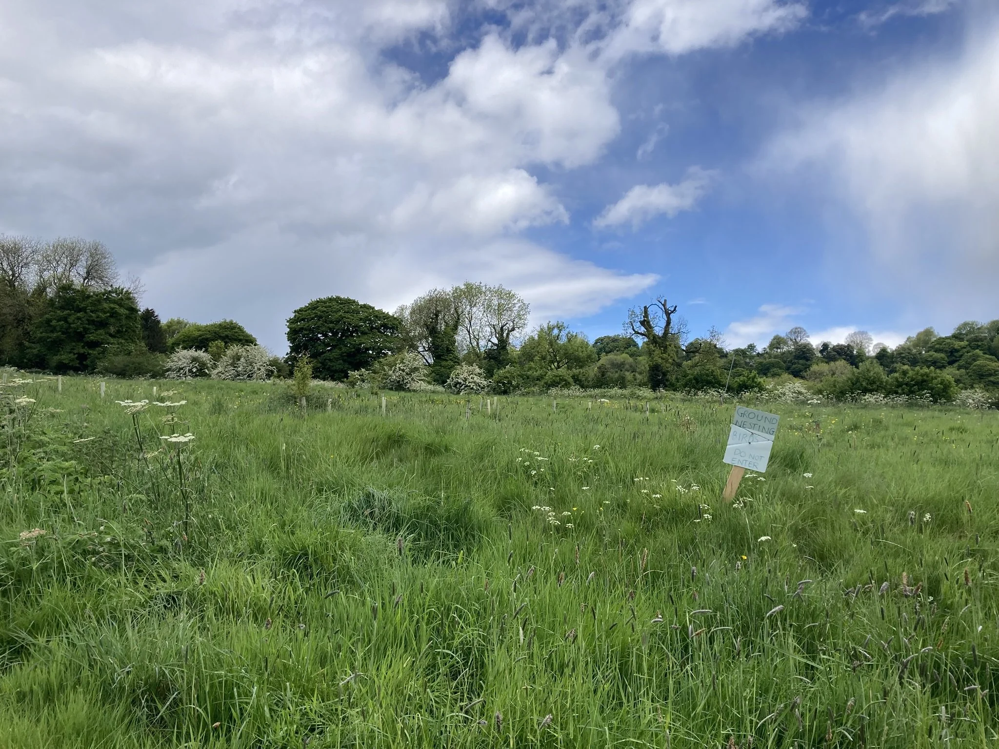 Dodging the showers