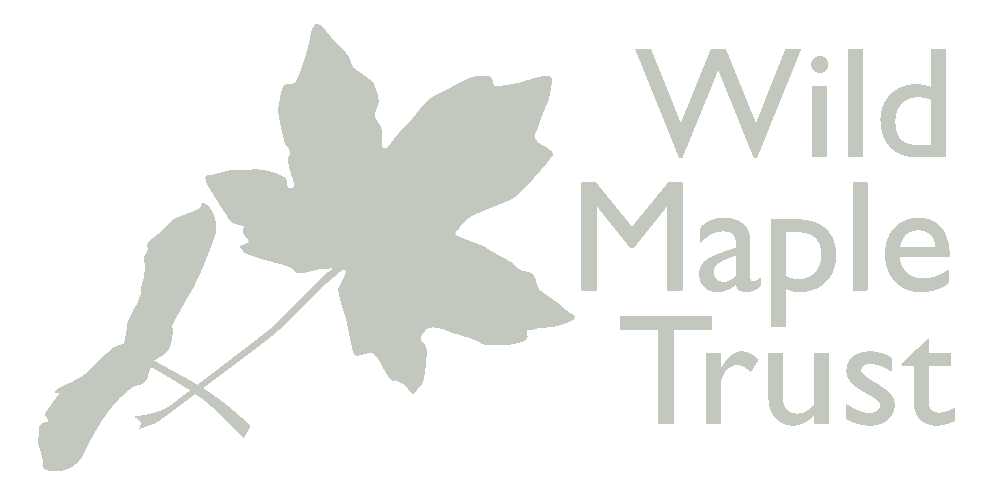 Wild Maple Trust