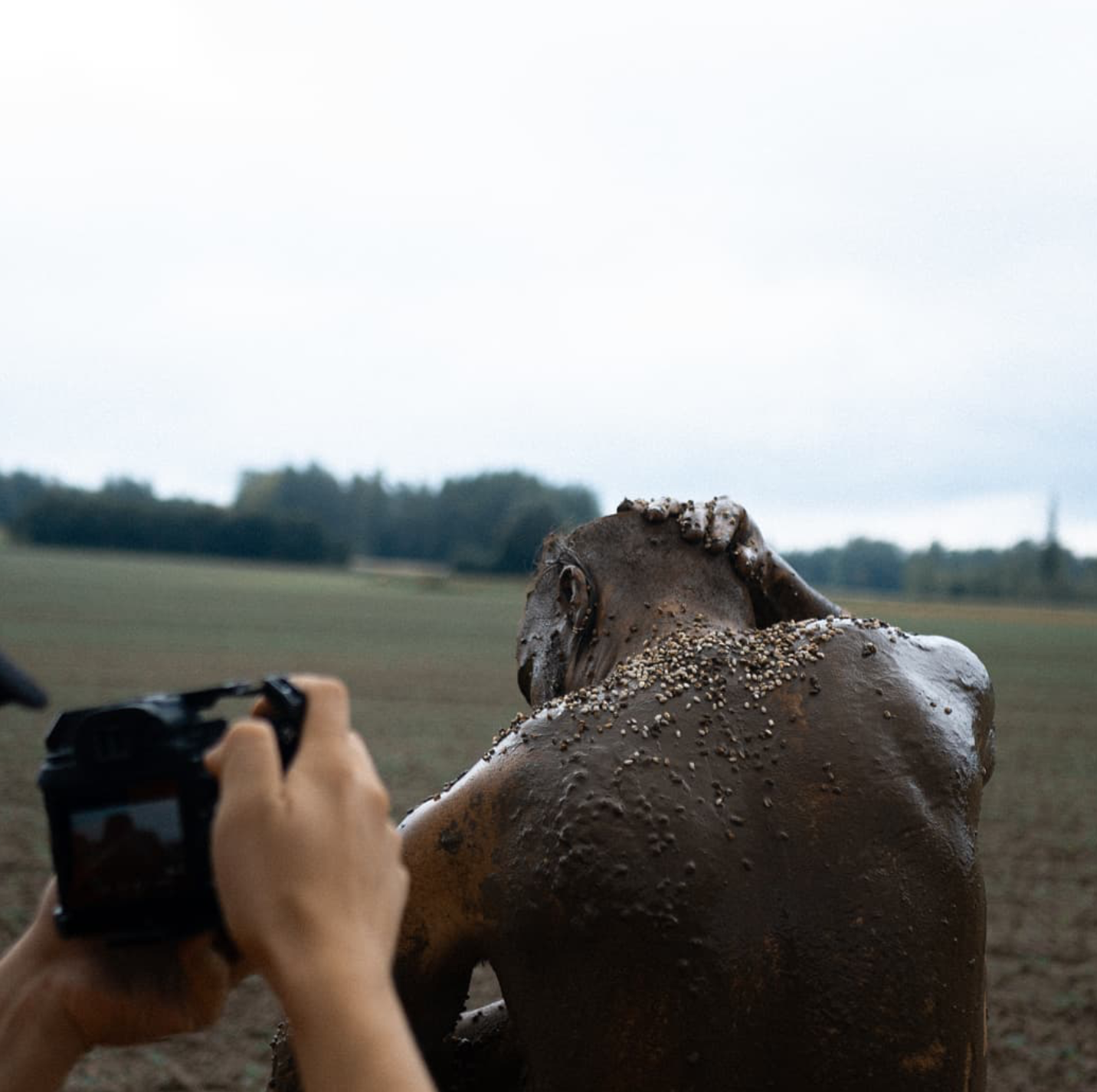 Screenshot 2023-03-24 at 14.52.39.png