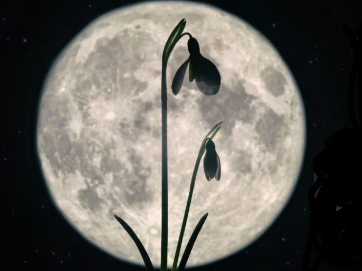 Women's Grief Circle