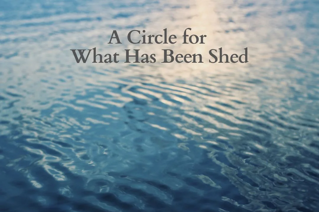 For What Has Been Shed