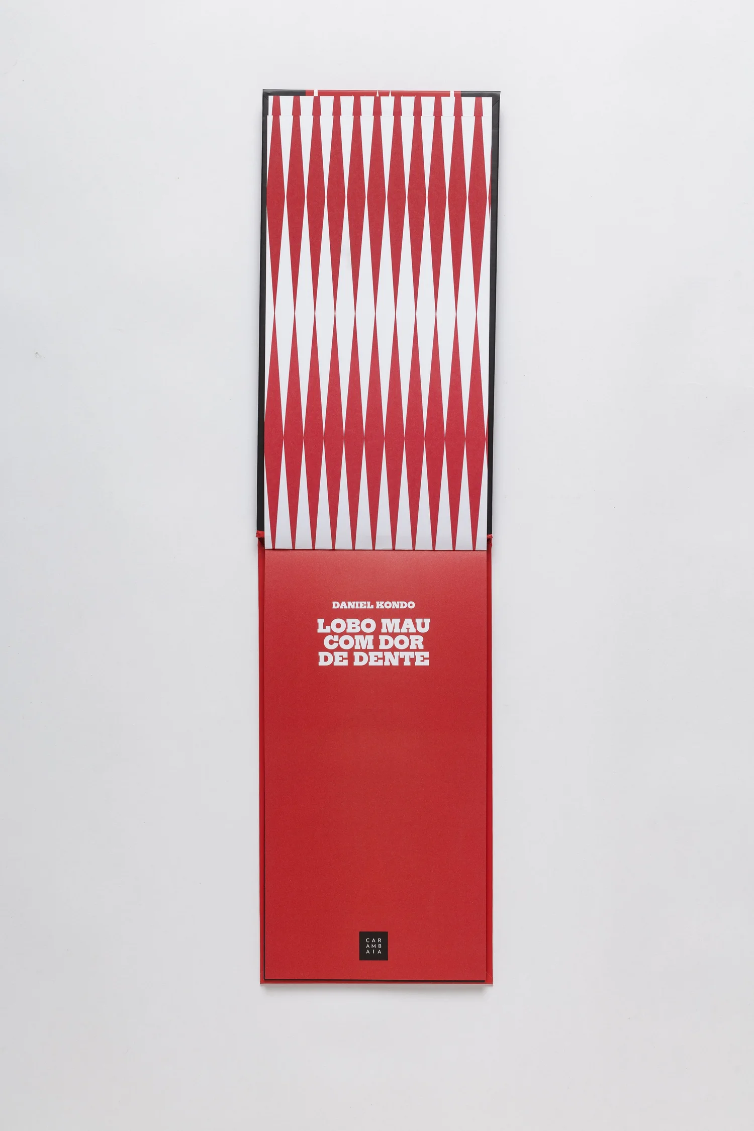 Folha de rosto de Lobo Mau com Dor de Dente
