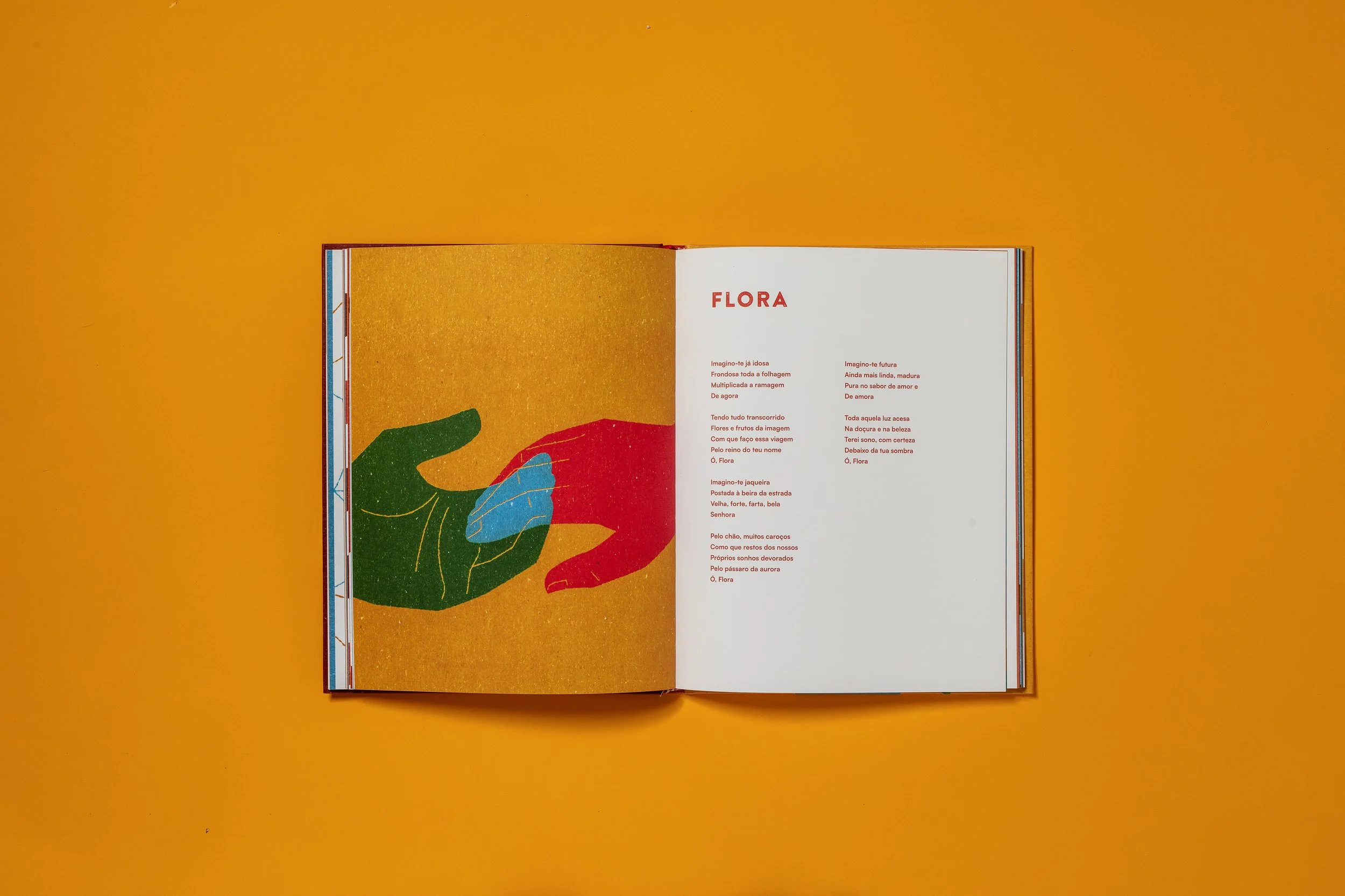 Flora no livro Nós, a gente