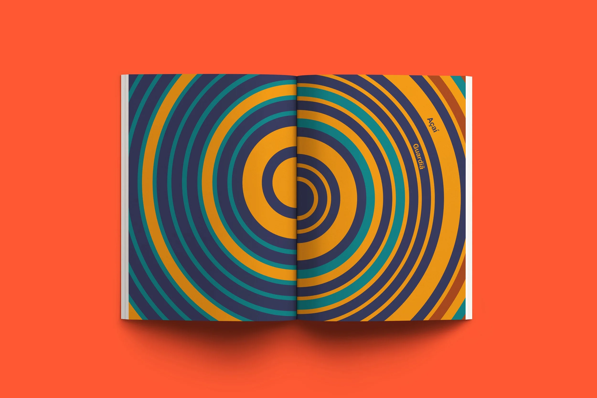 Página dupla circular de Açaí em livro de Djavan e Daniel Kondo