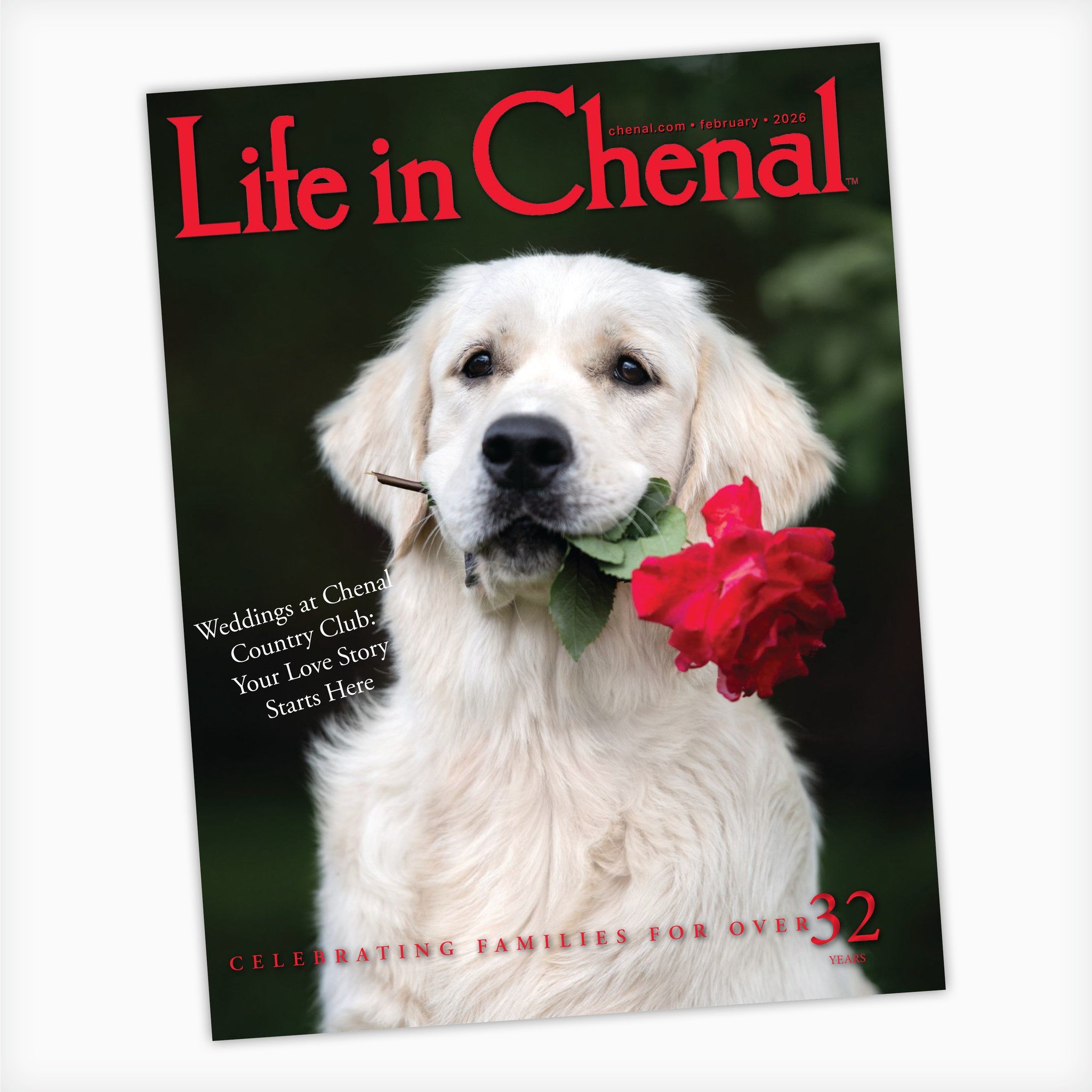 LOVING LIFE IN CHENAL | There's so much to fall for here! Chenal Valley is home to our favorite people and places, especially this month. Check out this issue for family features, wilderness skills, neighborhood updates and more, plus recipes for a r