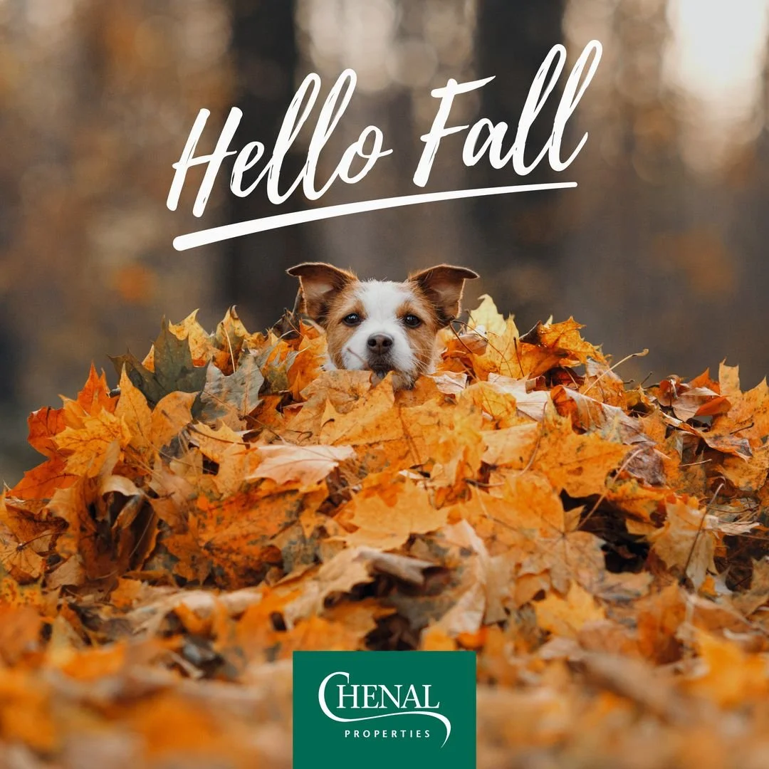 Hello, fall! Cooler mornings, changing leaves, evenings outside, and some of the prettiest scenery of the year are just around the corner.