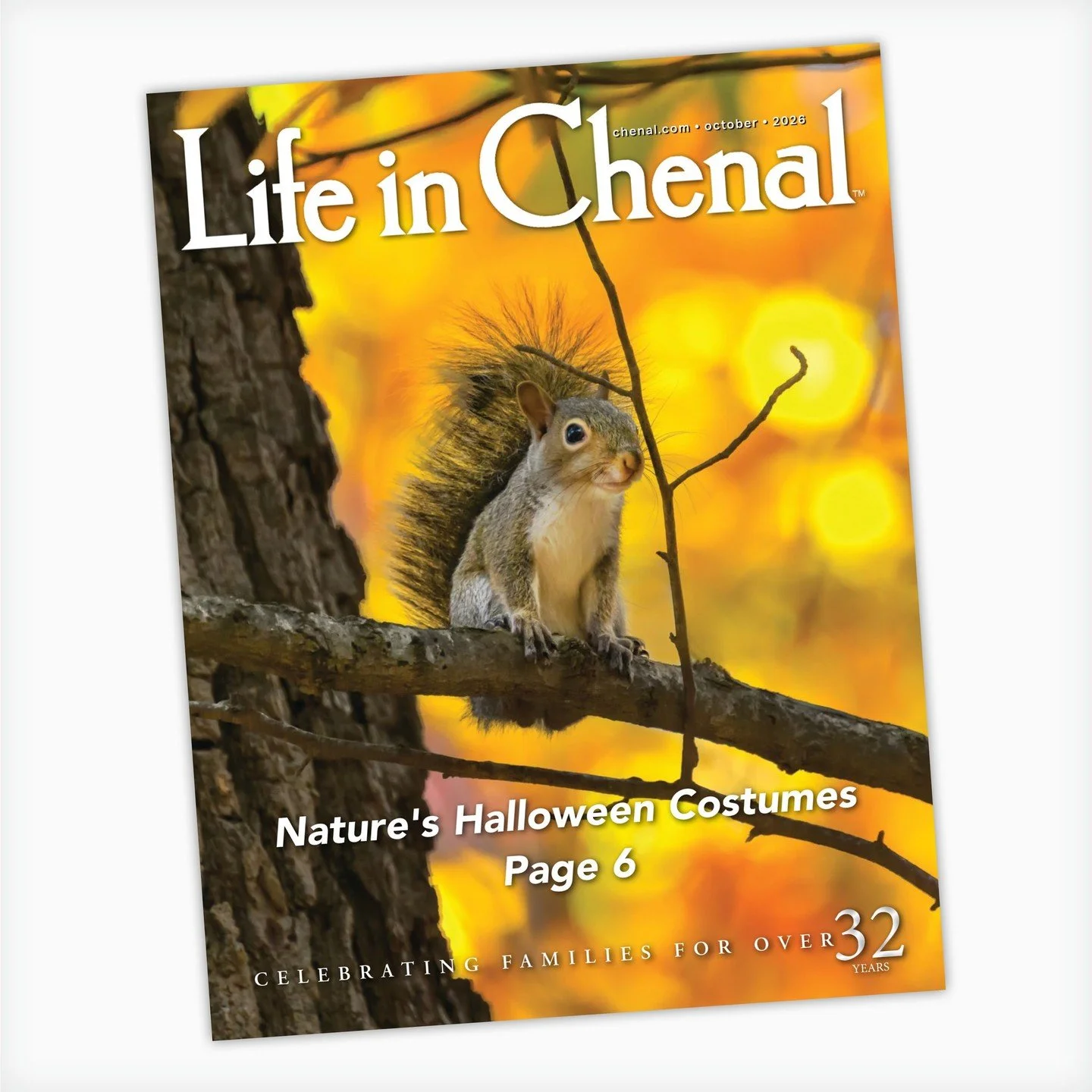 Fall is here, and the latest issue of Life in Chenal is full of ways to enjoy the season! Discover some of nature's most creative "Halloween costumes," meet Bruce Baxley, Chenal Country Club's new Director of Instruction, find a few new fal