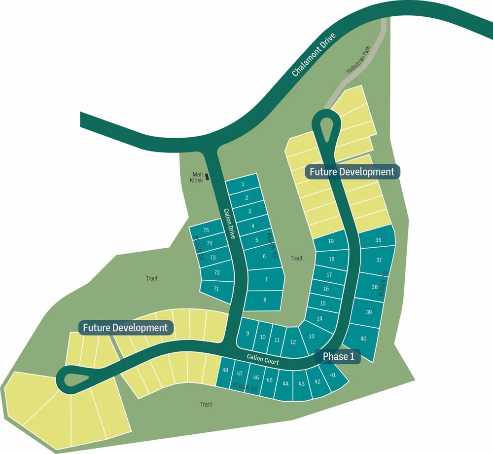 Calion Court — Chenal Properties West Little Rock Homes for Sale