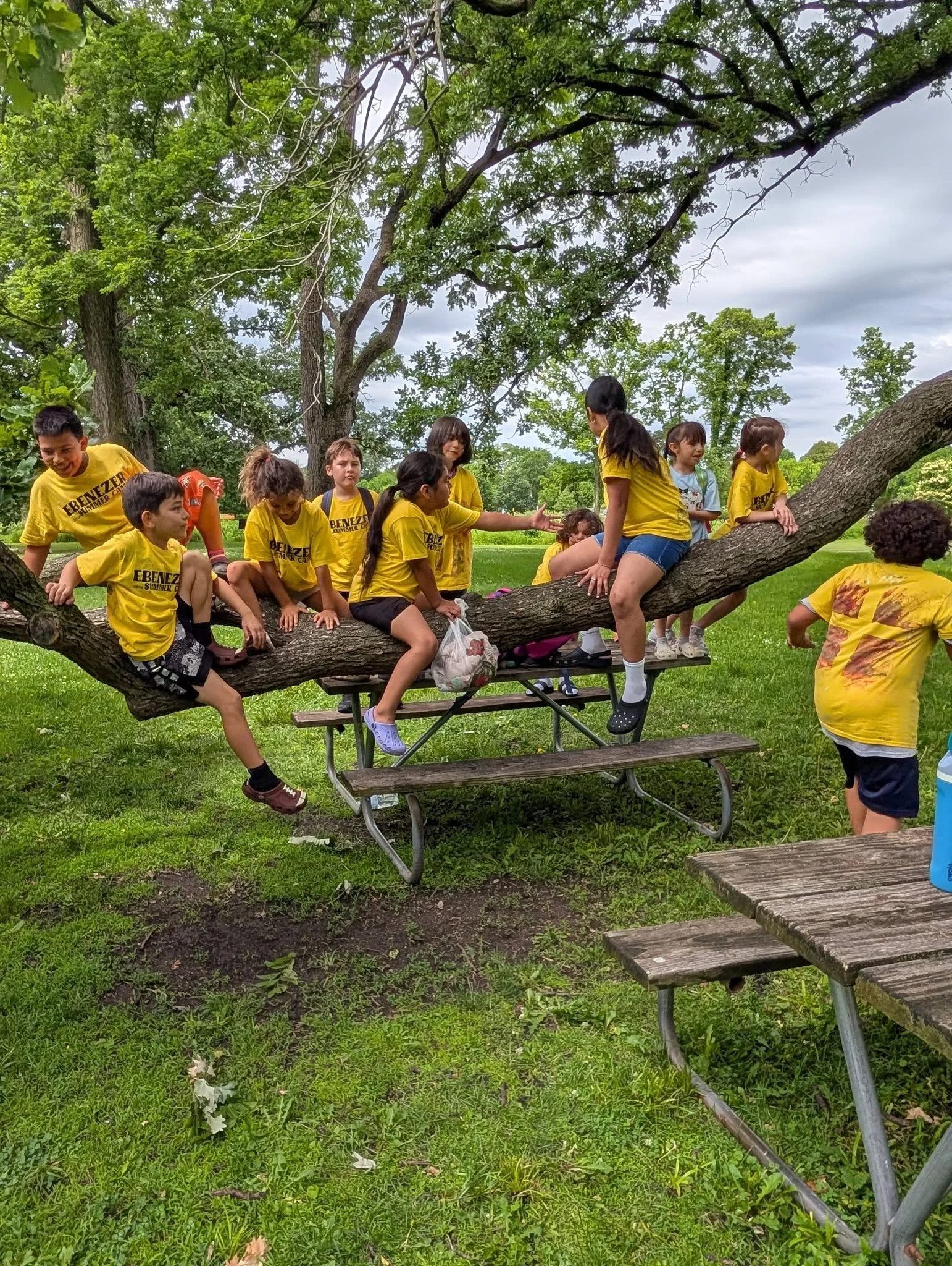 Summer Camp