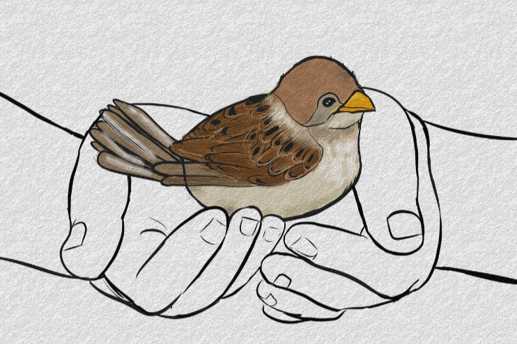 Sparrow Ministry