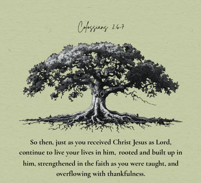 Rooted Youth