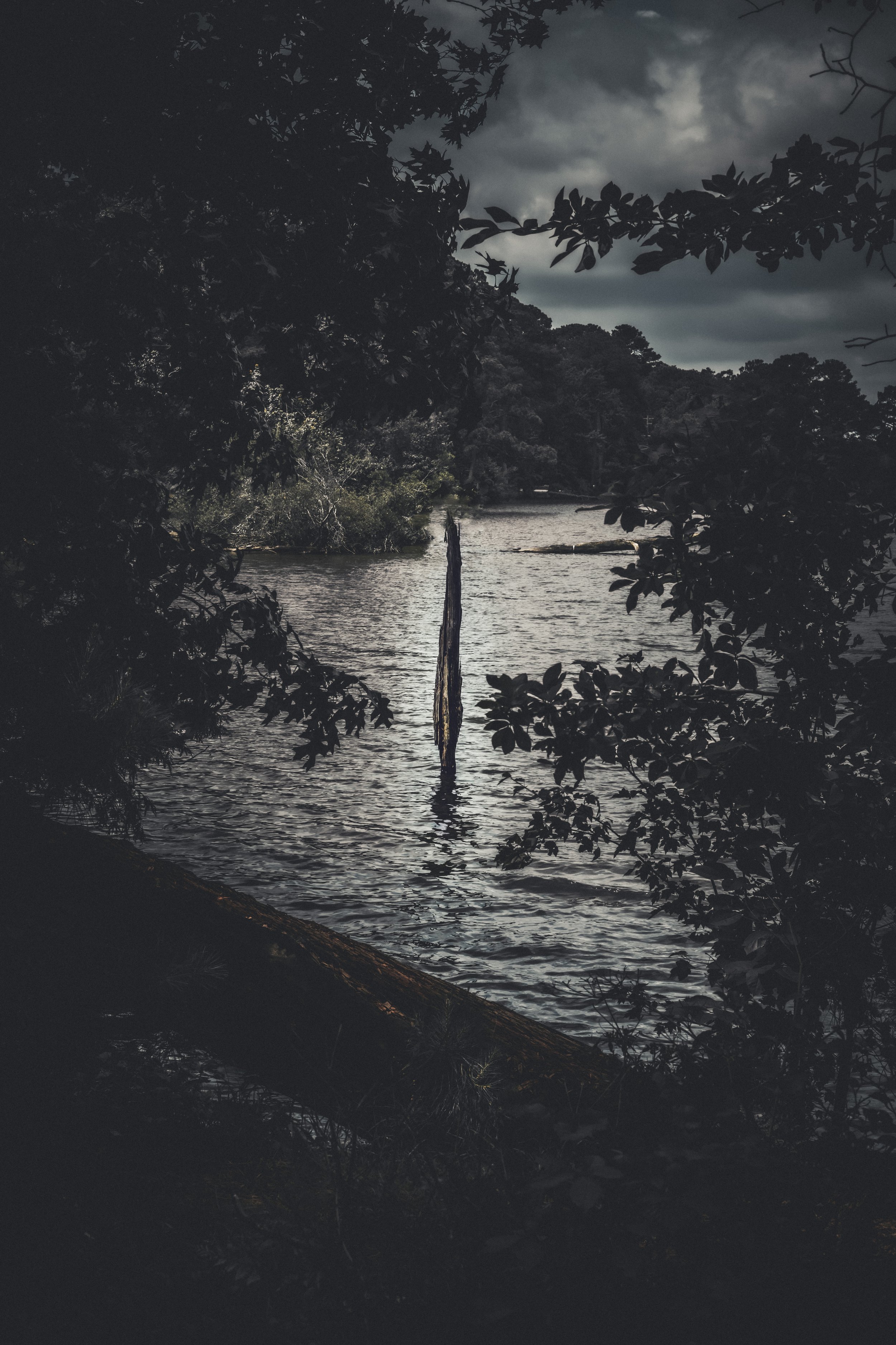 IMG_0427.jpeg