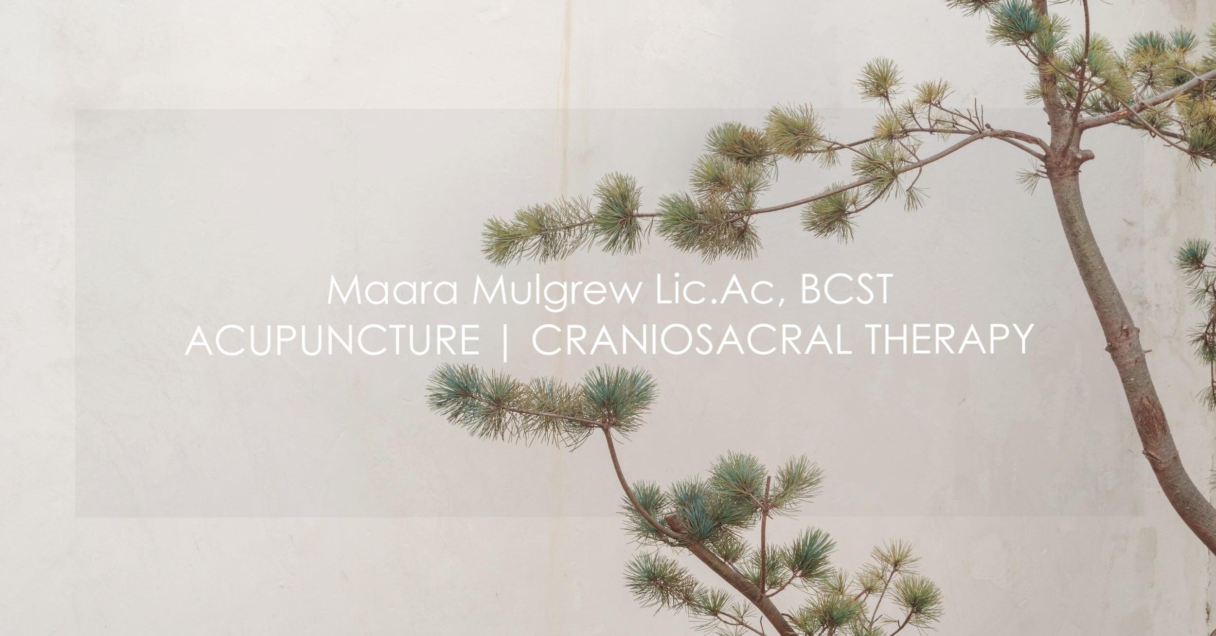 Acupuncture Dublin alt text