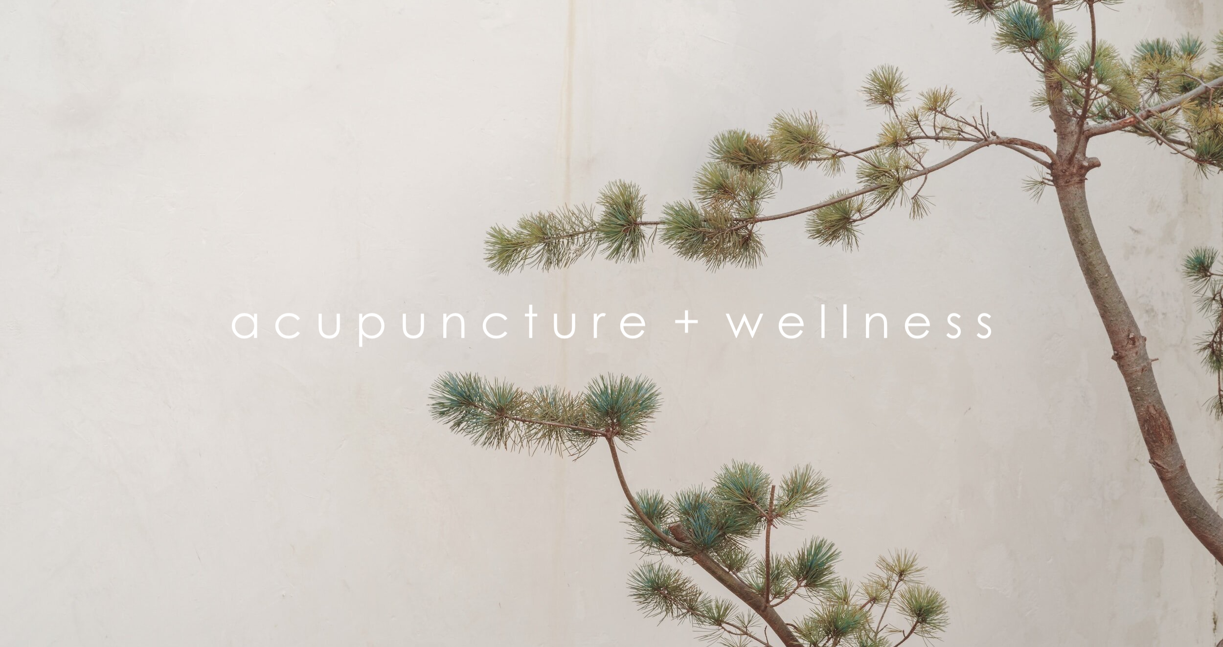 Acupuncture Howth Dublin Alt Text