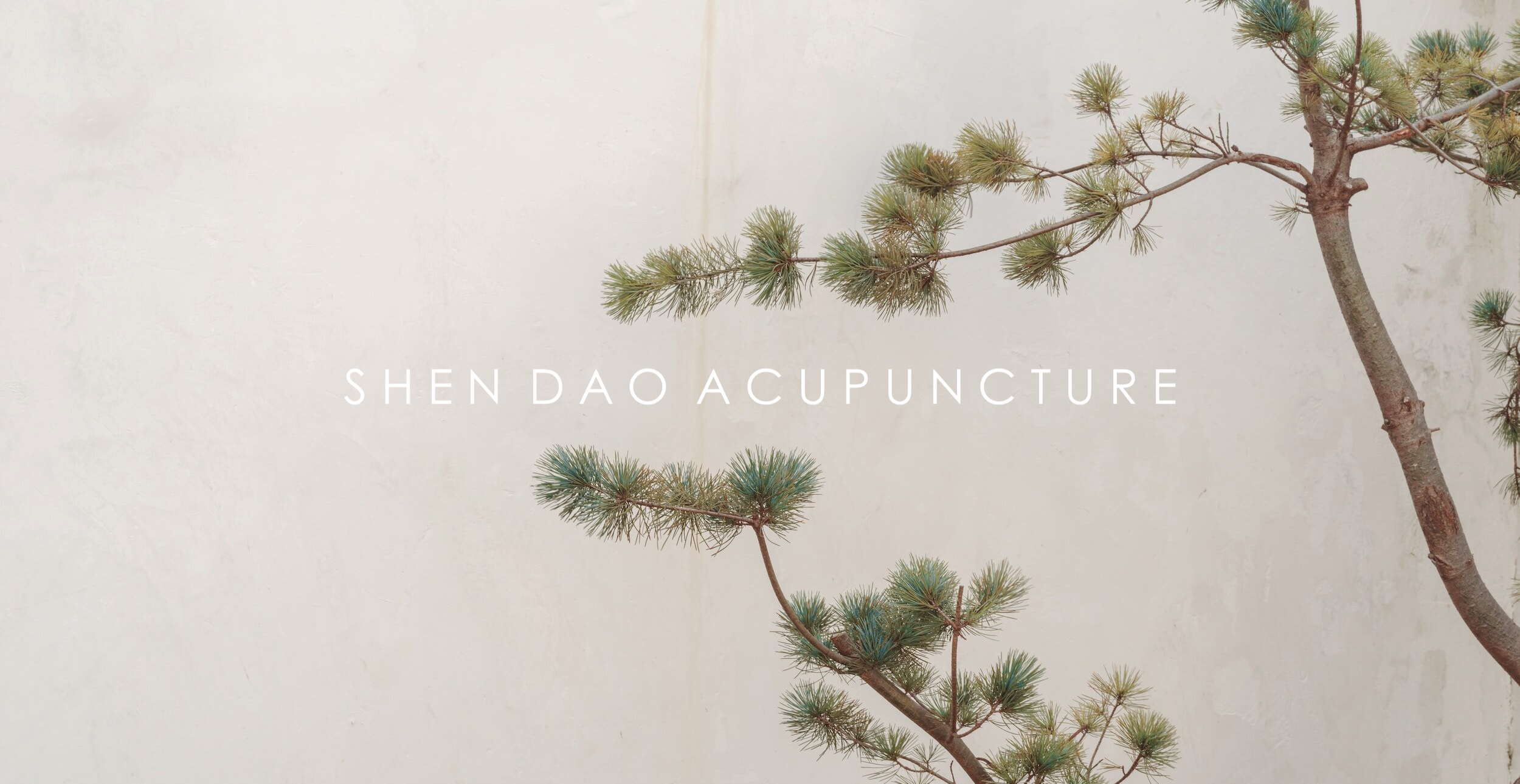 Acupuncture Dublin alt text