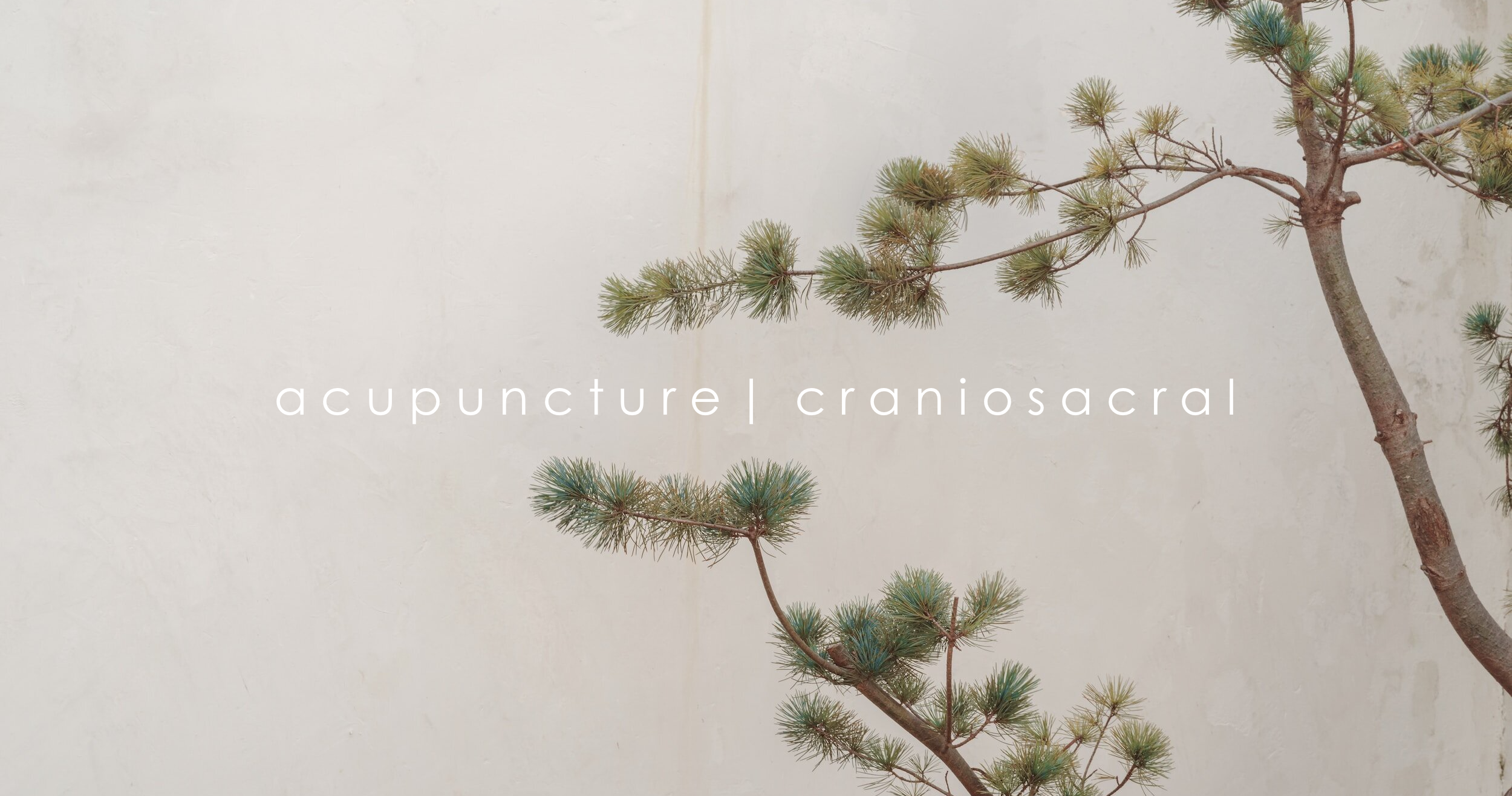 Acupuncture Dublin alt text