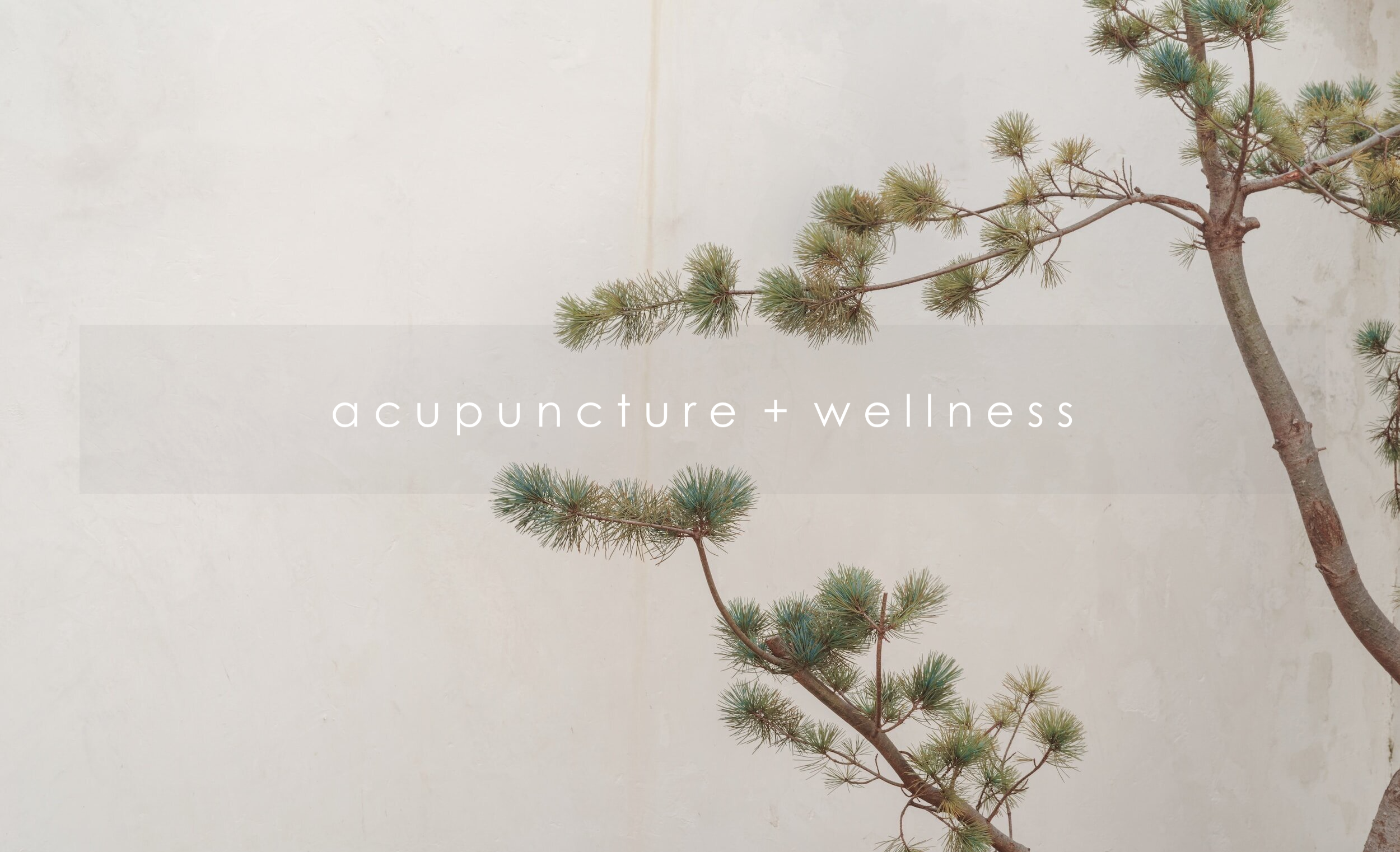 Acupuncture Galway alt text