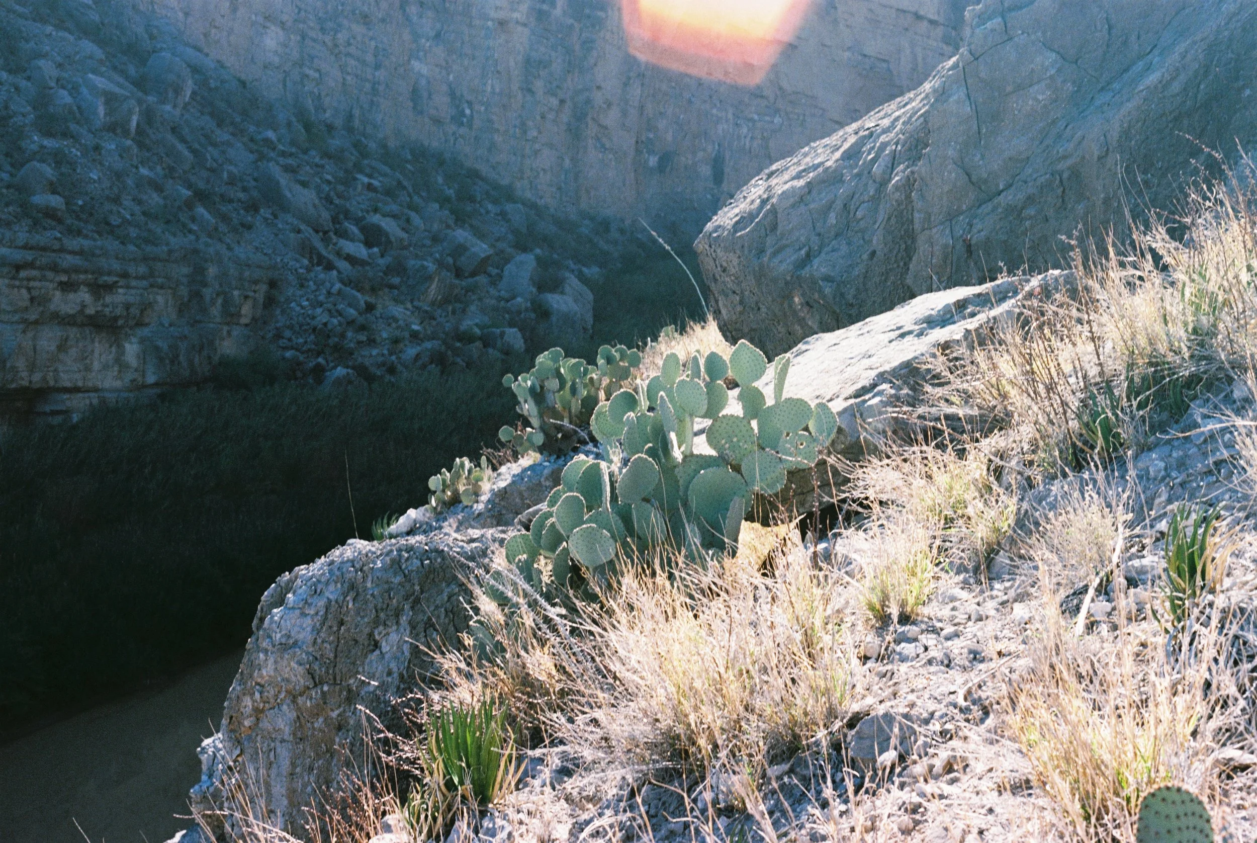 Landscapes