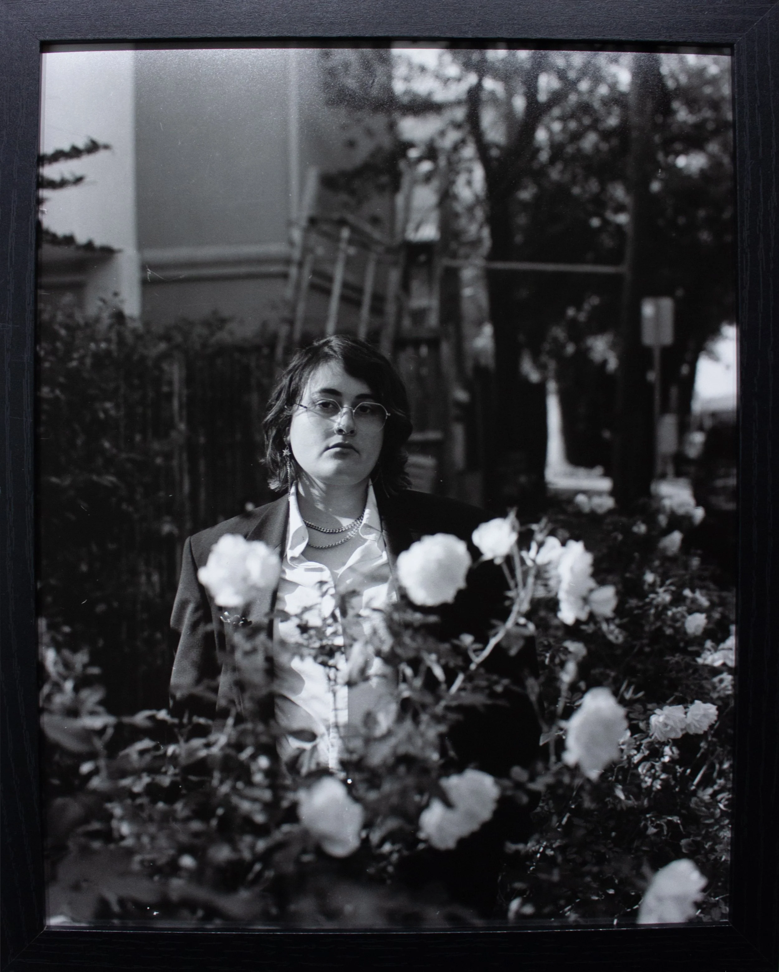 Rose Bush, 2025 
- Framed 11x14 Silver Gelatin Print