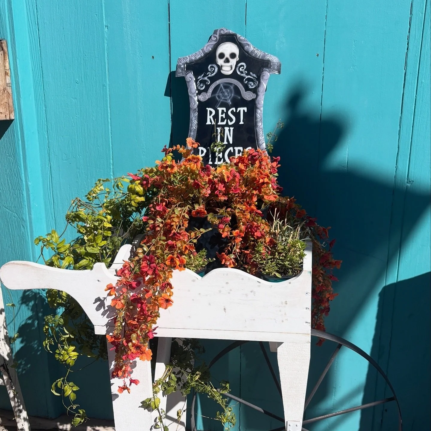 🎃 Trick or Treat Main Street is back! 🍬

Join us on October 26, 1&ndash;3 PM along Harrison Ave, from 4th&ndash;8th Street, for a spooktacular afternoon of candy, costumes, and fun for the whole family.

Stop by Leadville Exchange for treats and Ha